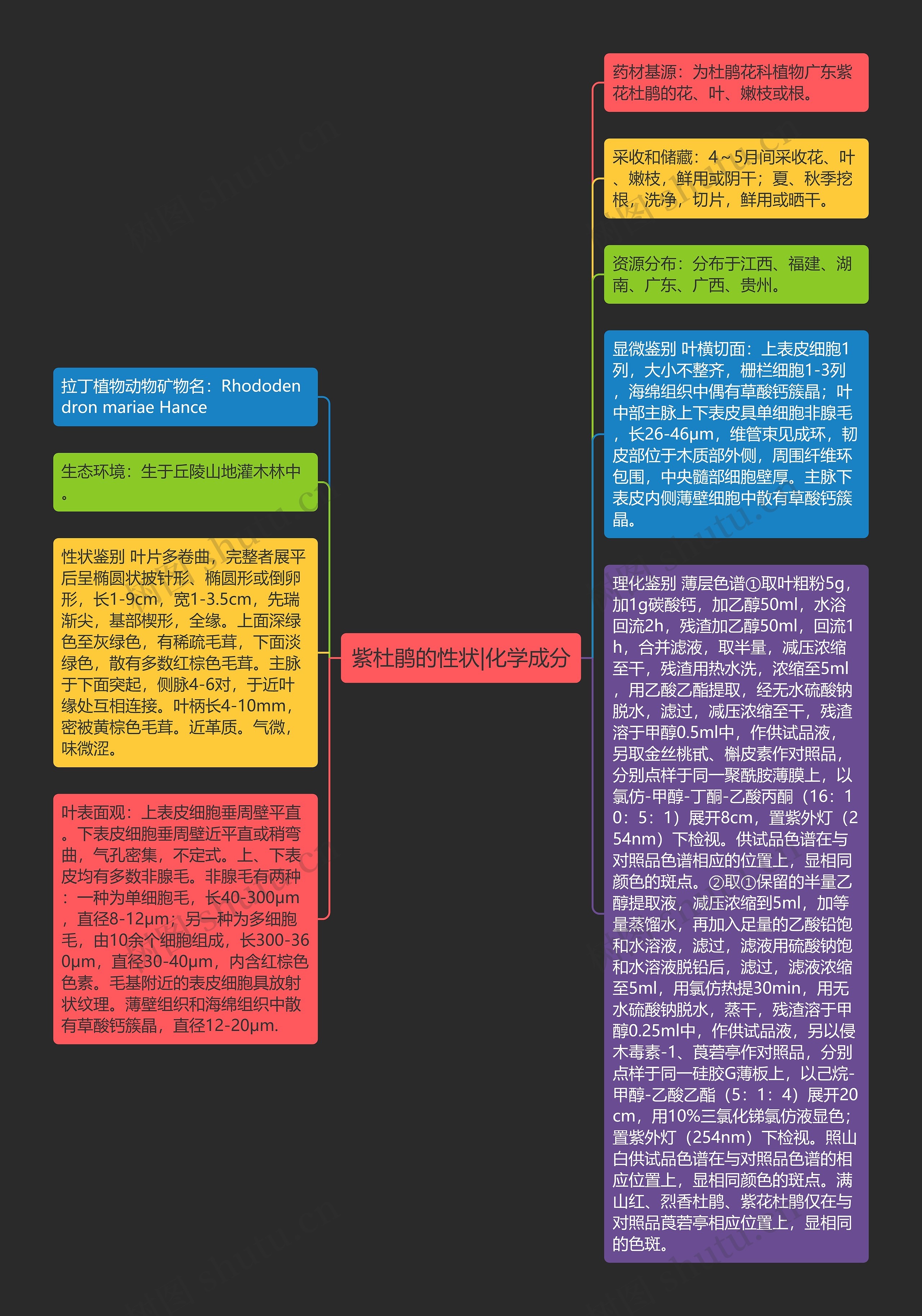 紫杜鹃的性状|化学成分思维导图