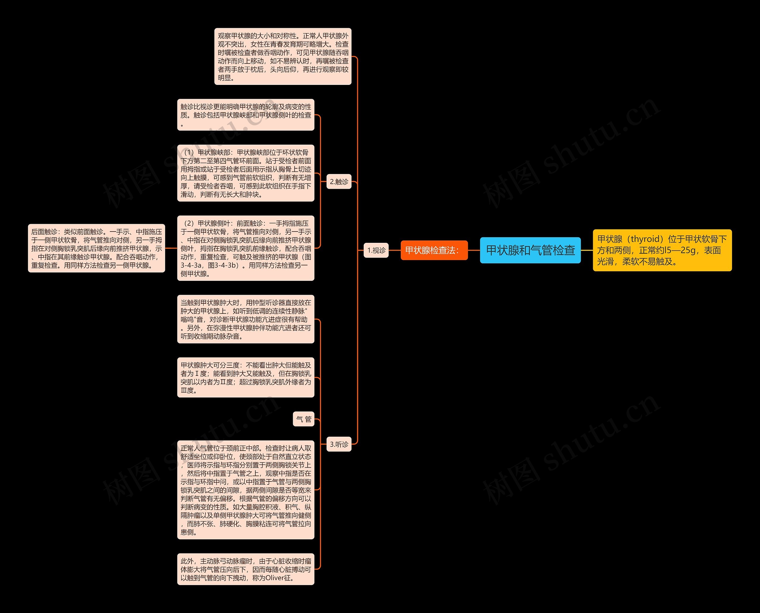 甲状腺和气管检查思维导图
