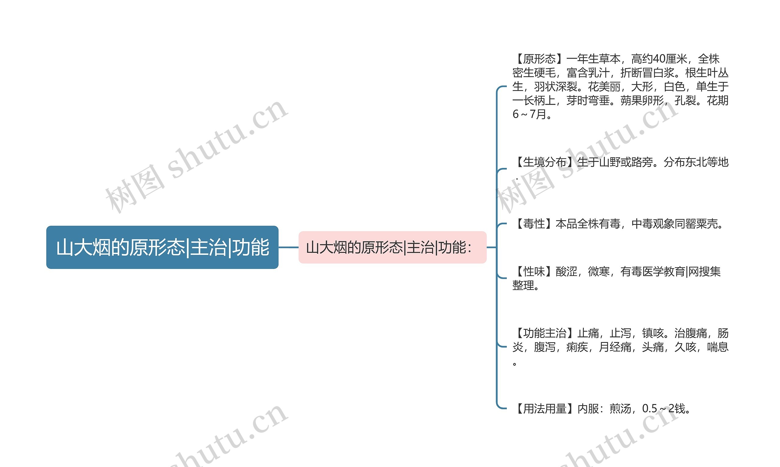 山大烟的原形态|主治|功能思维导图