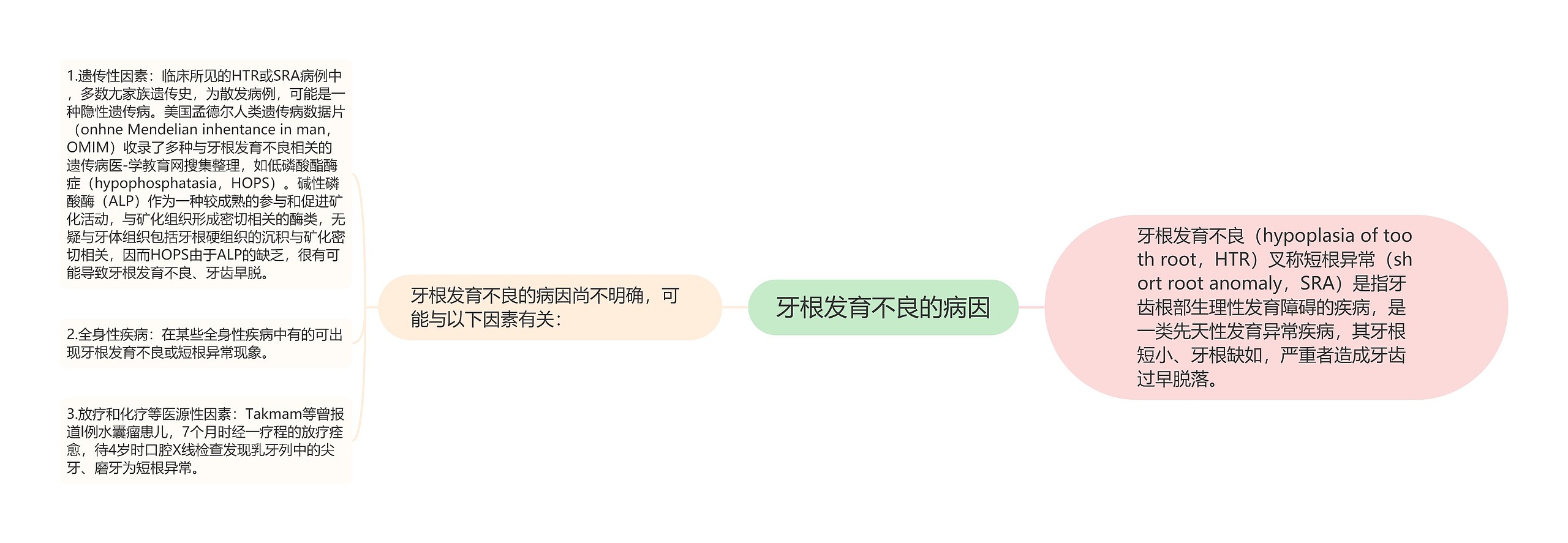 牙根发育不良的病因