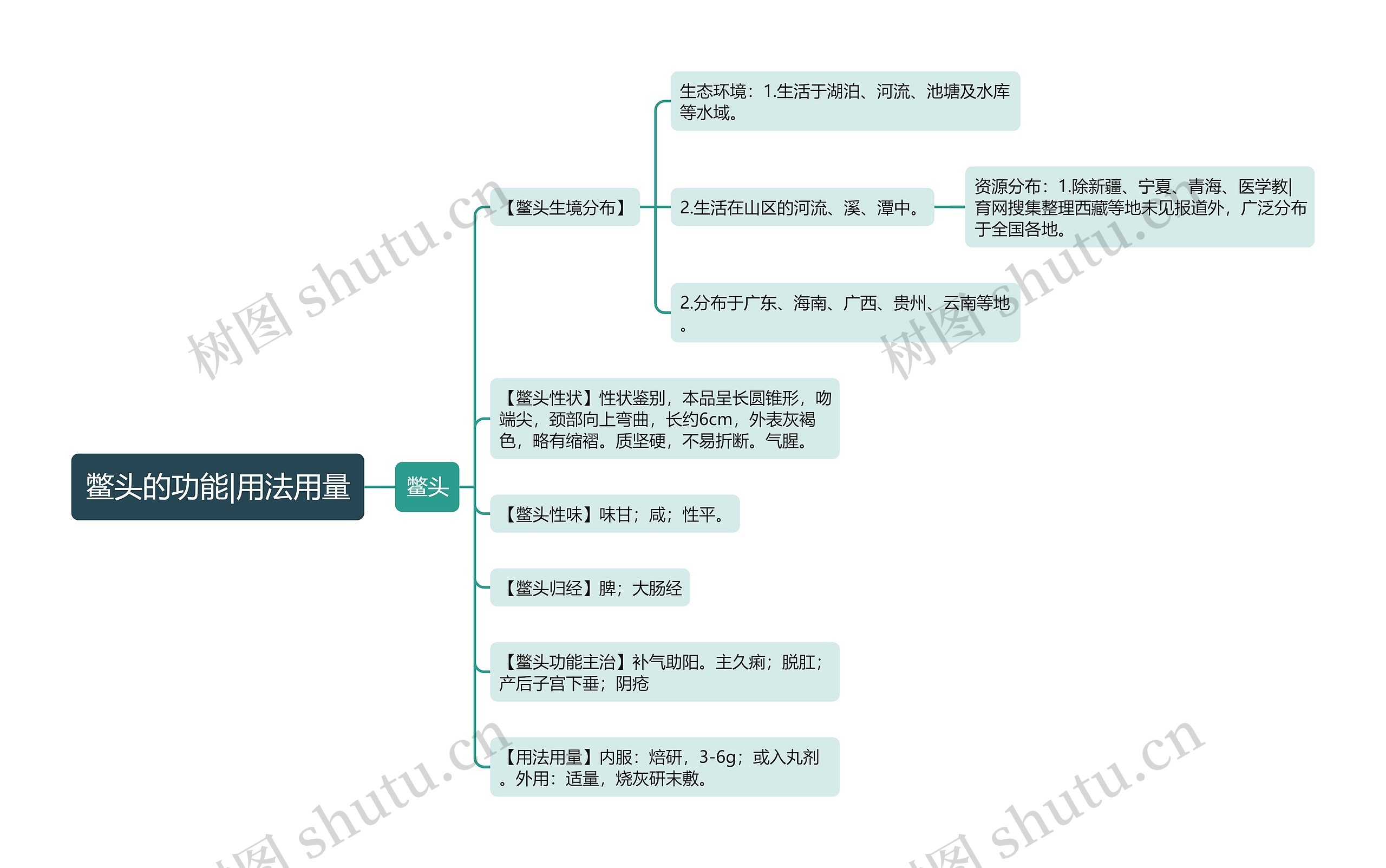 鳖头的功能|用法用量思维导图