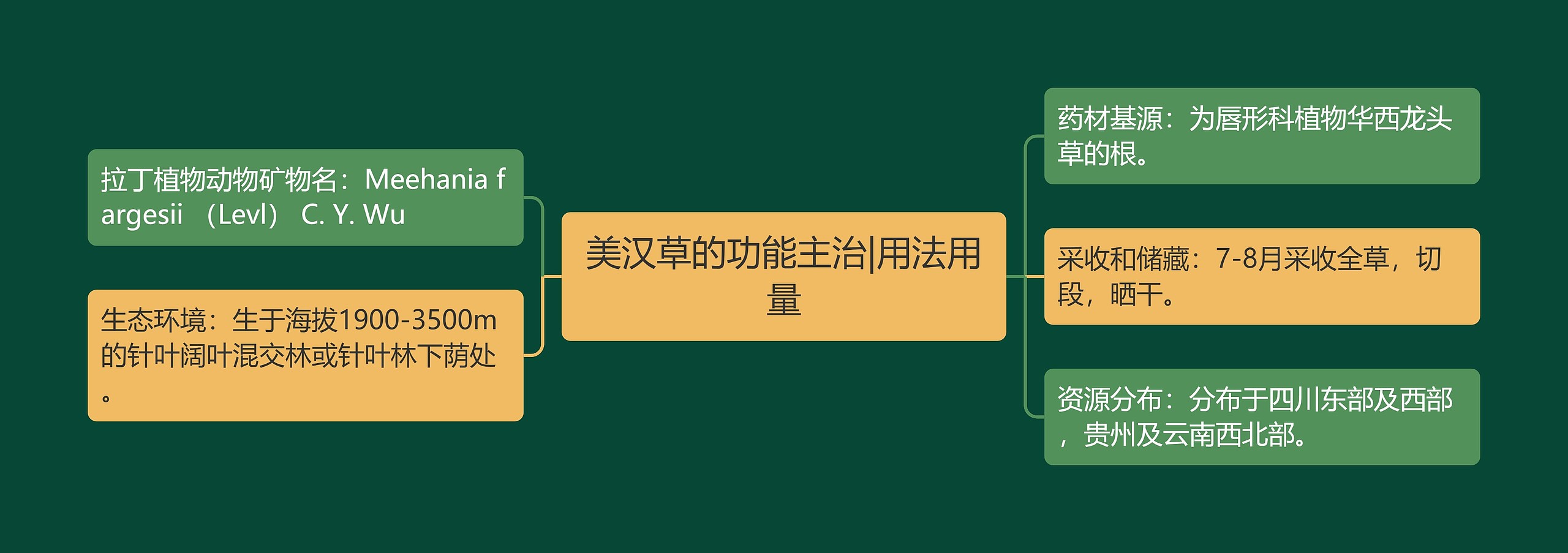 美汉草的功能主治|用法用量 美汉草的功能主治|用法用量