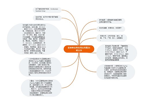 亚香棒虫草的用法用量|功能主治