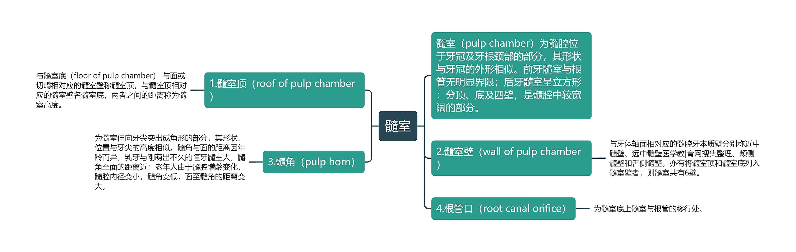 髓室思维导图