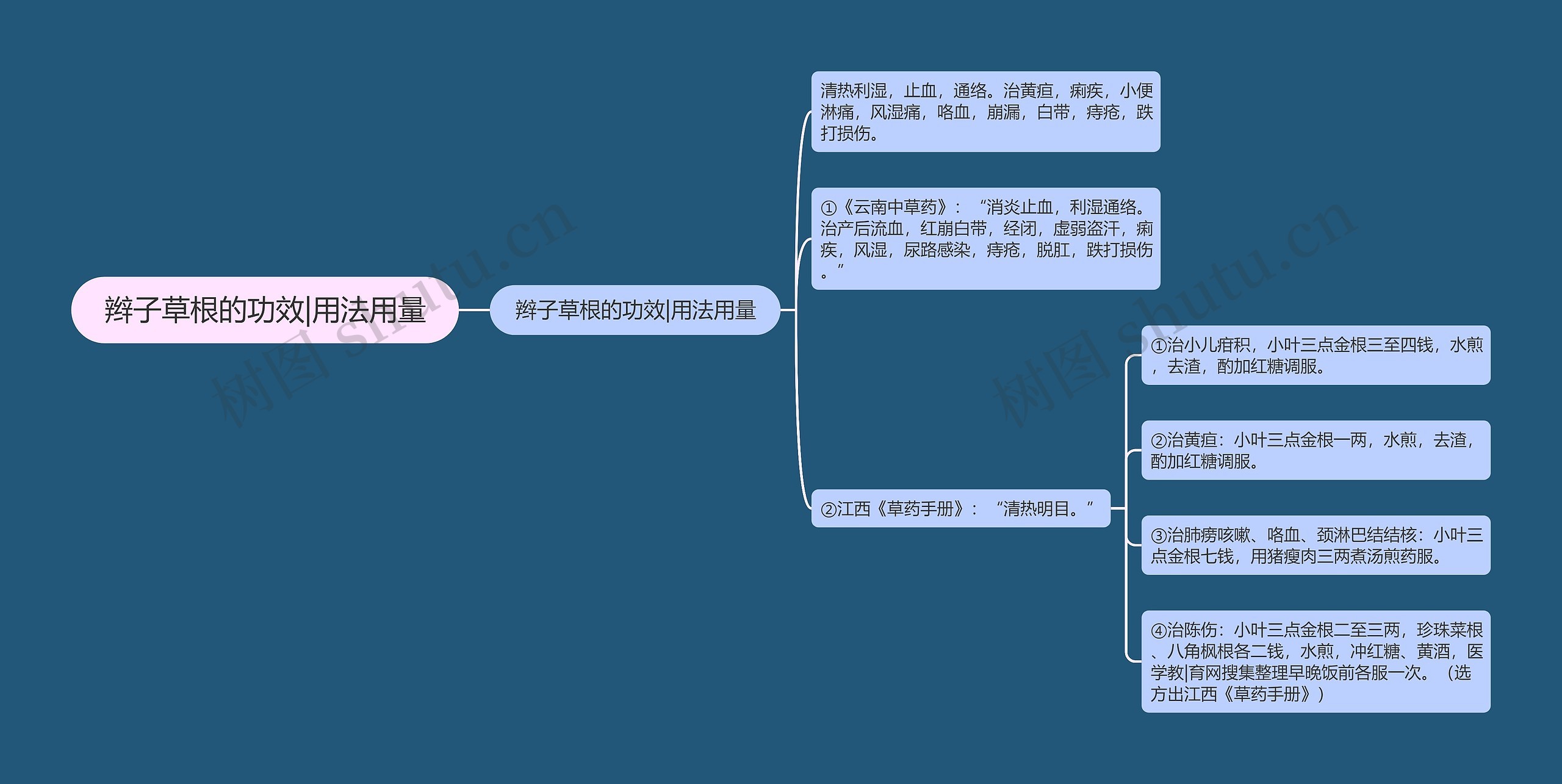 辫子草根的功效|用法用量