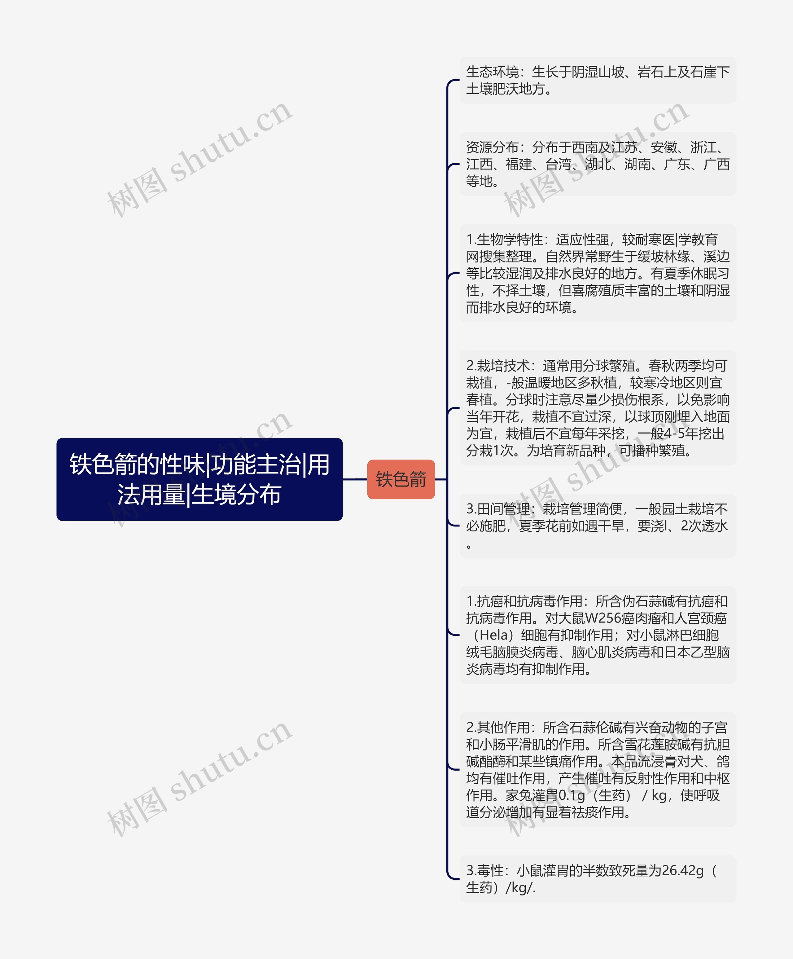 铁色箭的性味|功能主治|用法用量|生境分布思维导图