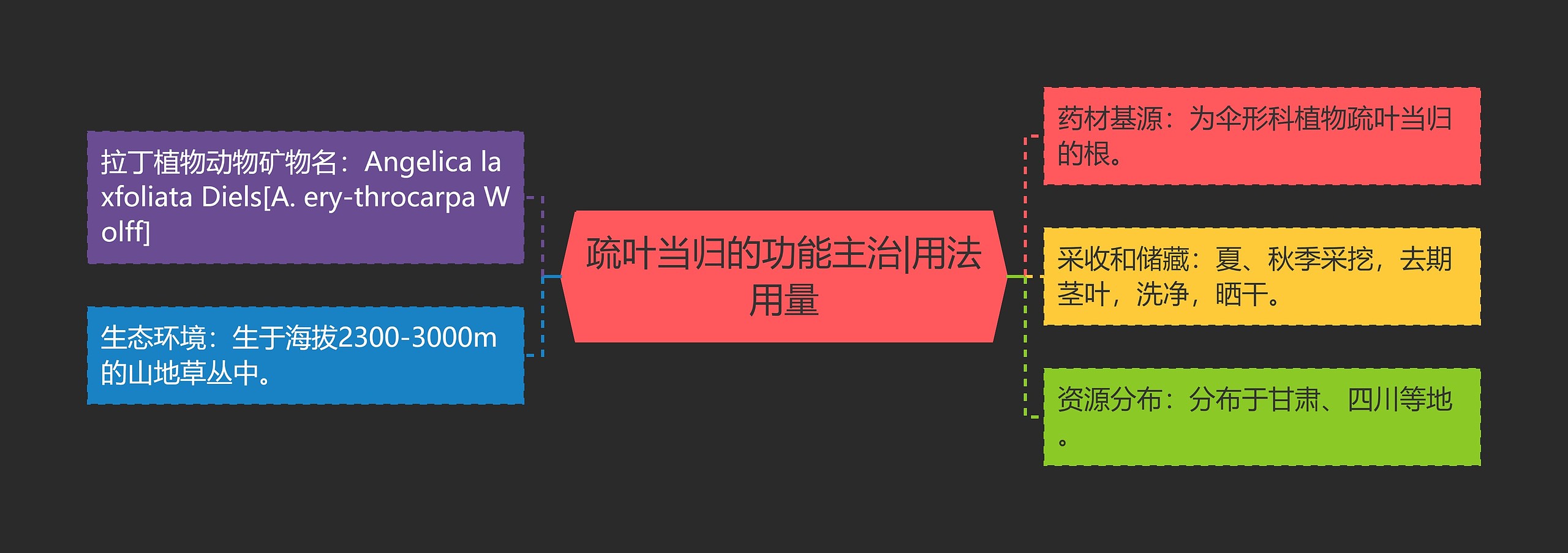 疏叶当归的功能主治|用法用量 疏叶当归的功能主治|用法用量
