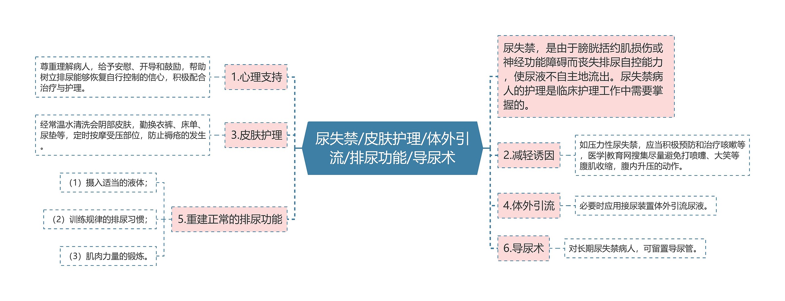 尿失禁/皮肤护理/体外引流/排尿功能/导尿术