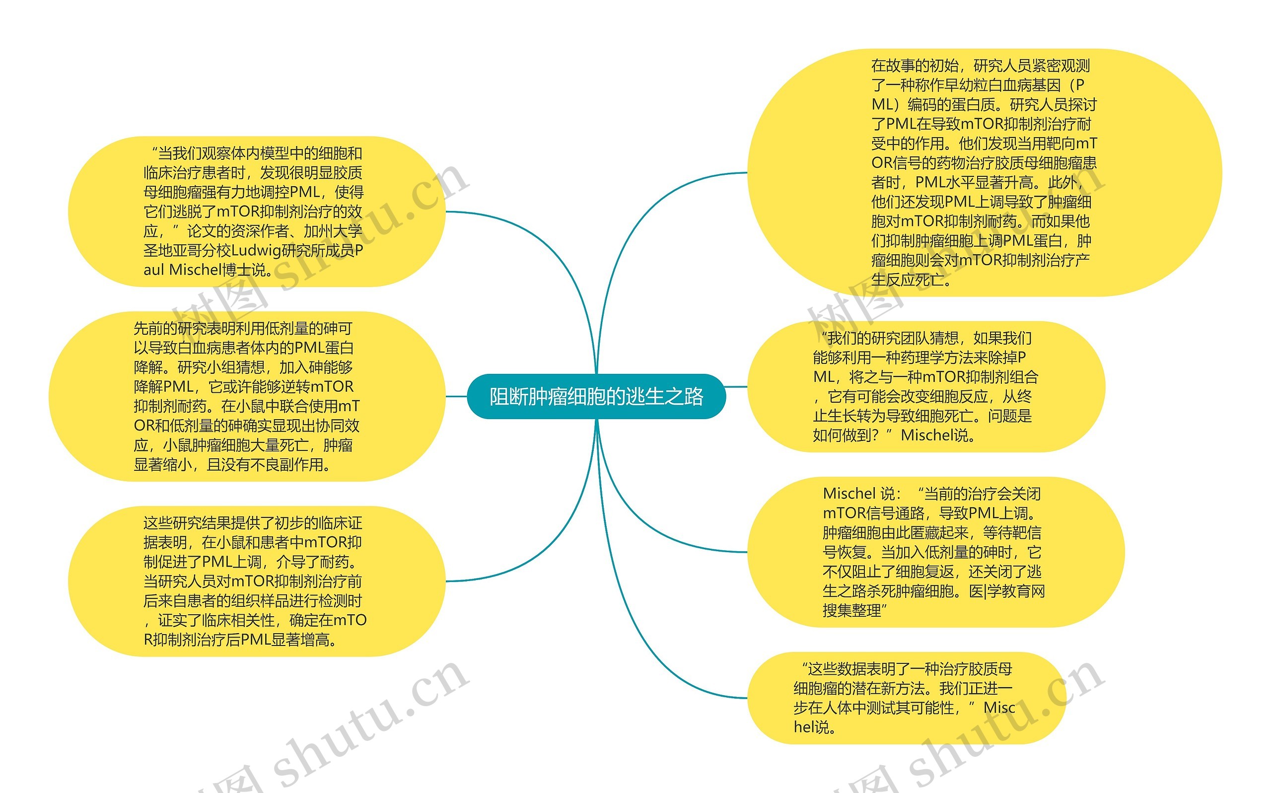 阻断肿瘤细胞的逃生之路思维导图