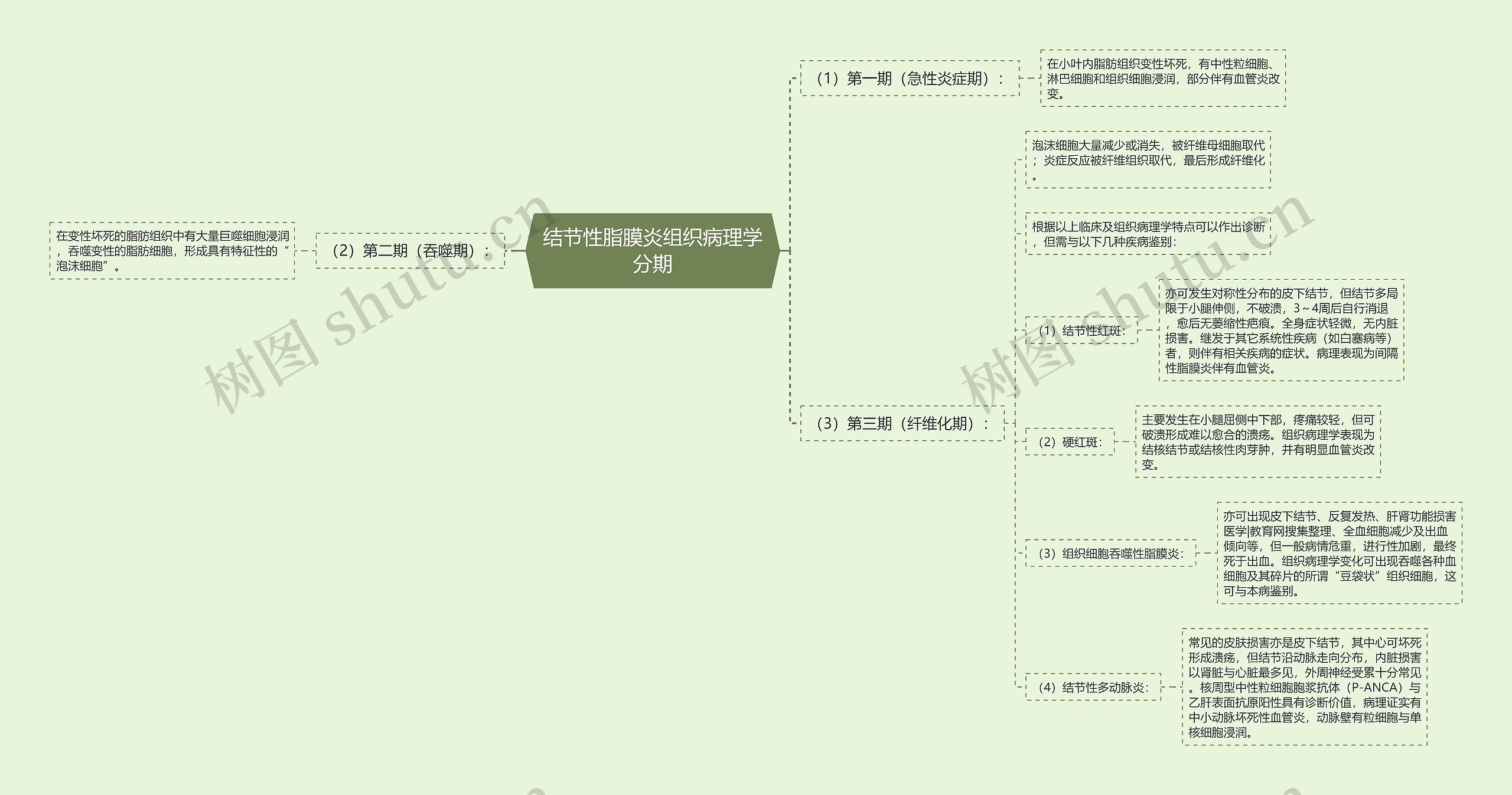 结节性脂膜炎组织病理学分期思维导图