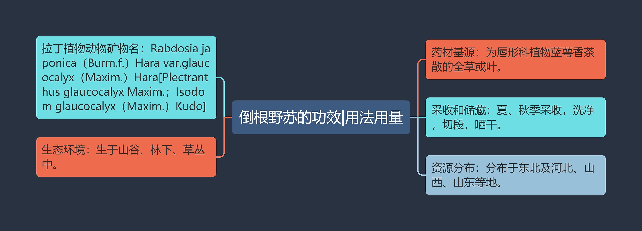 倒根野苏的功效|用法用量思维导图