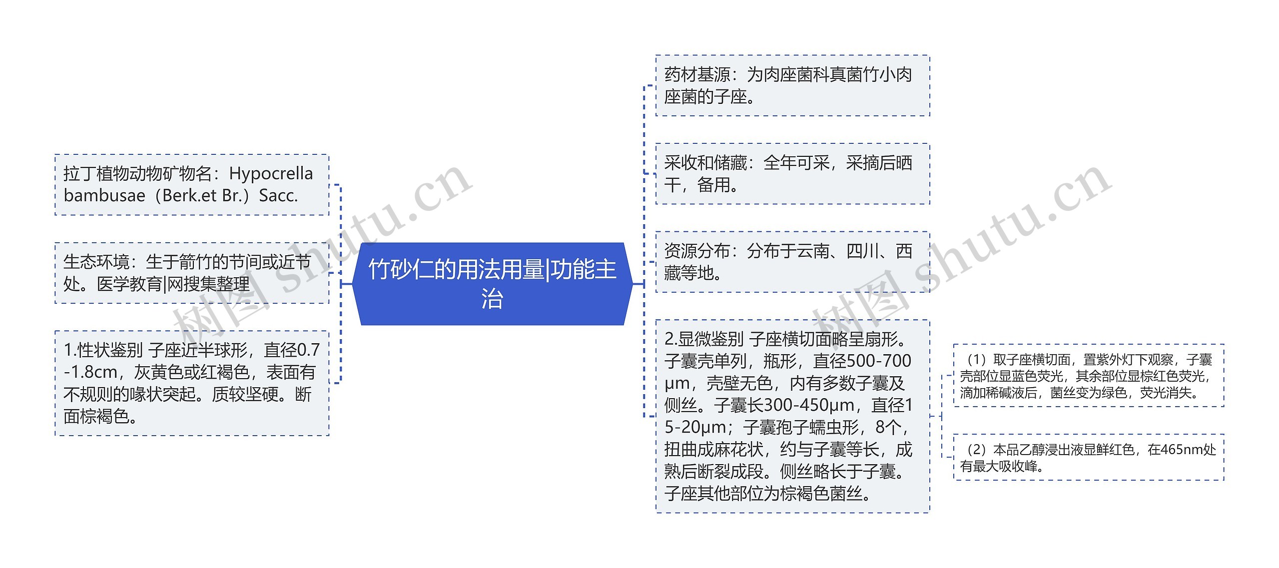 竹砂仁的用法用量|功能主治 竹砂仁的用法用量|功能主治