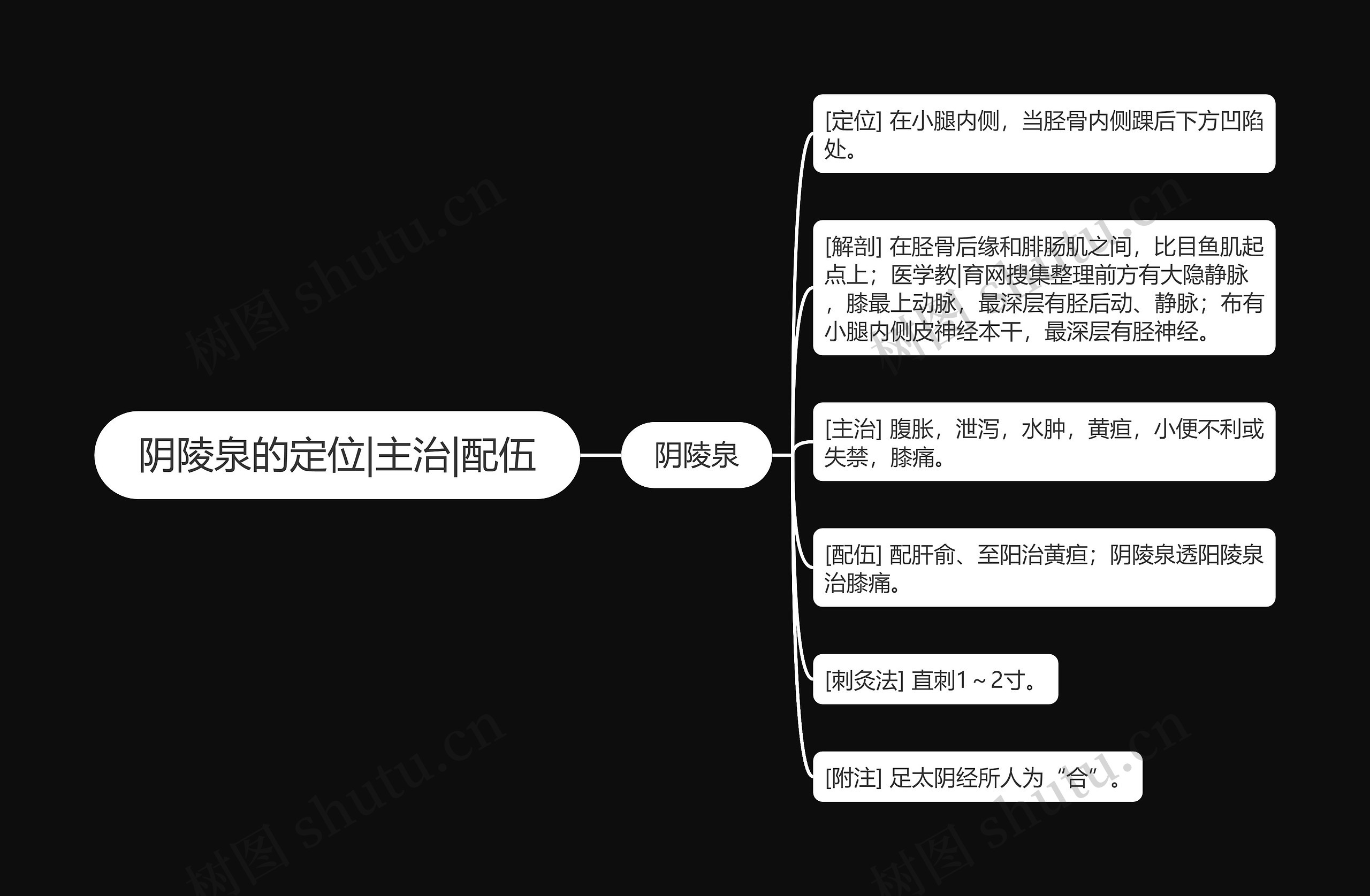 阴陵泉的定位|主治|配伍 阴陵泉的定位|主治|配伍