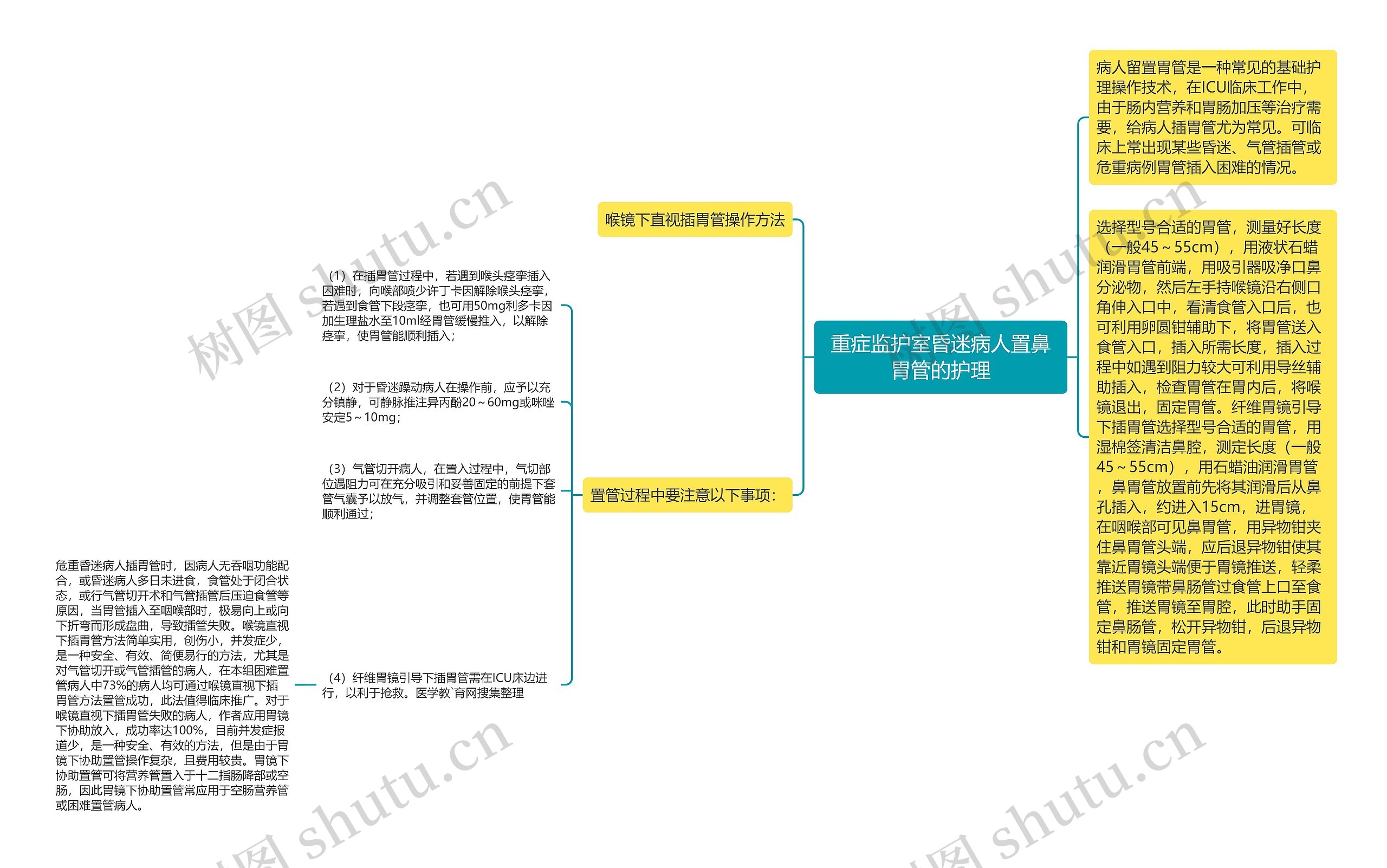 重症监护室昏迷病人置鼻胃管的护理思维导图