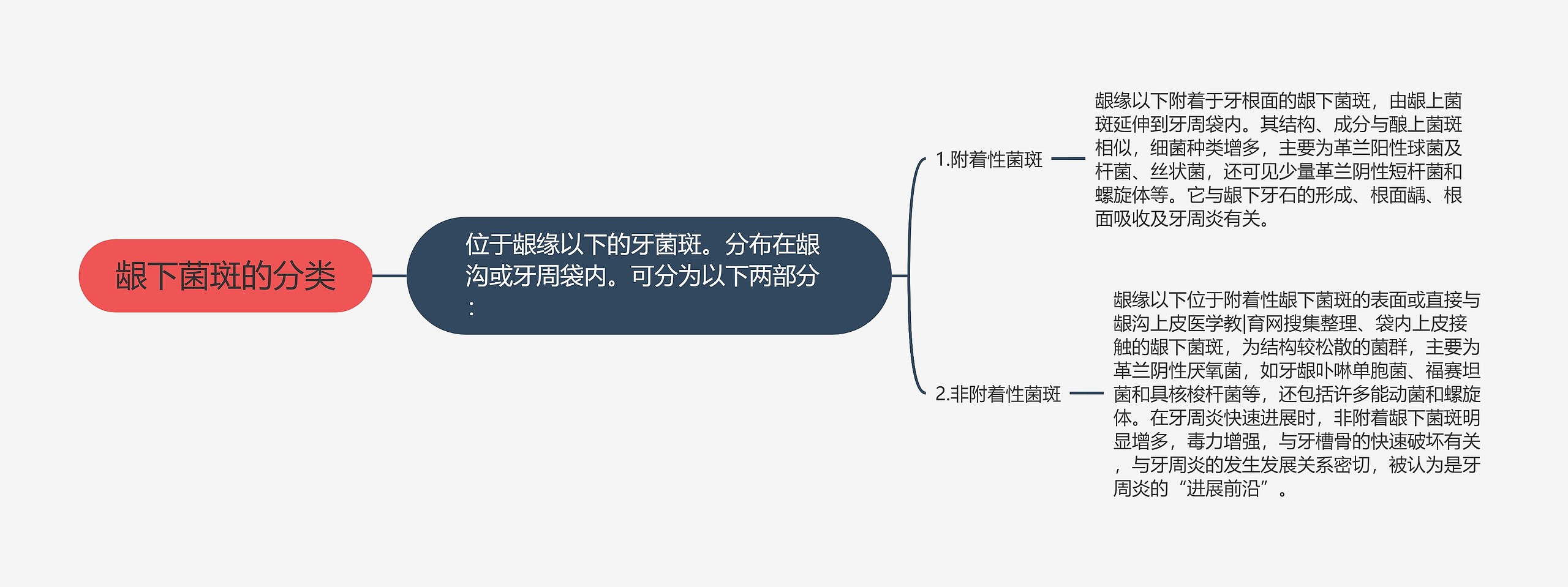 龈下菌斑的分类思维导图