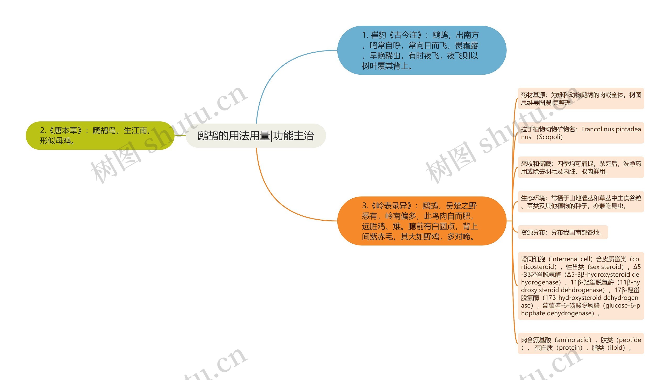 鹧鸪的用法用量|功能主治思维导图