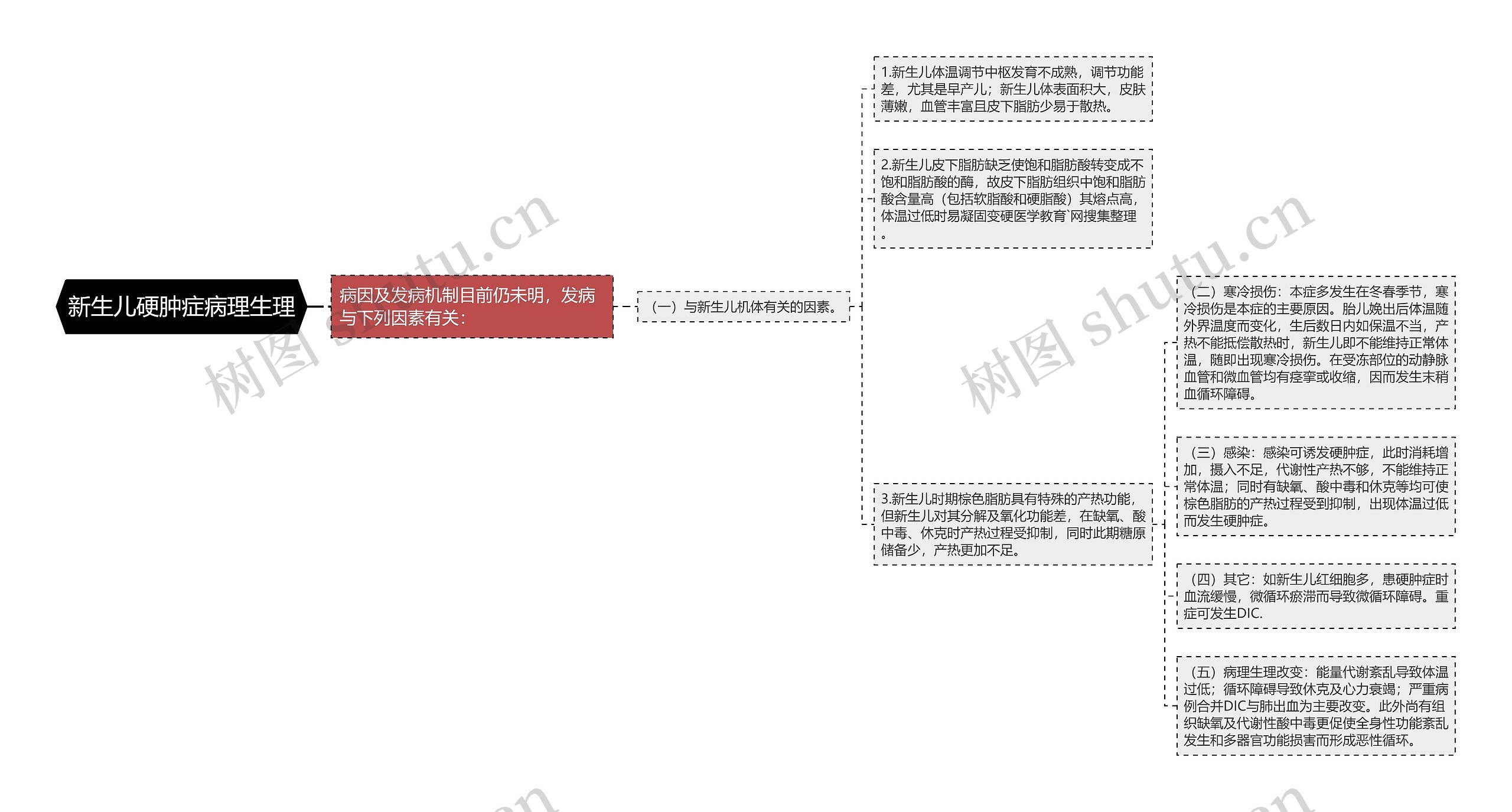 新生儿硬肿症病理生理思维导图