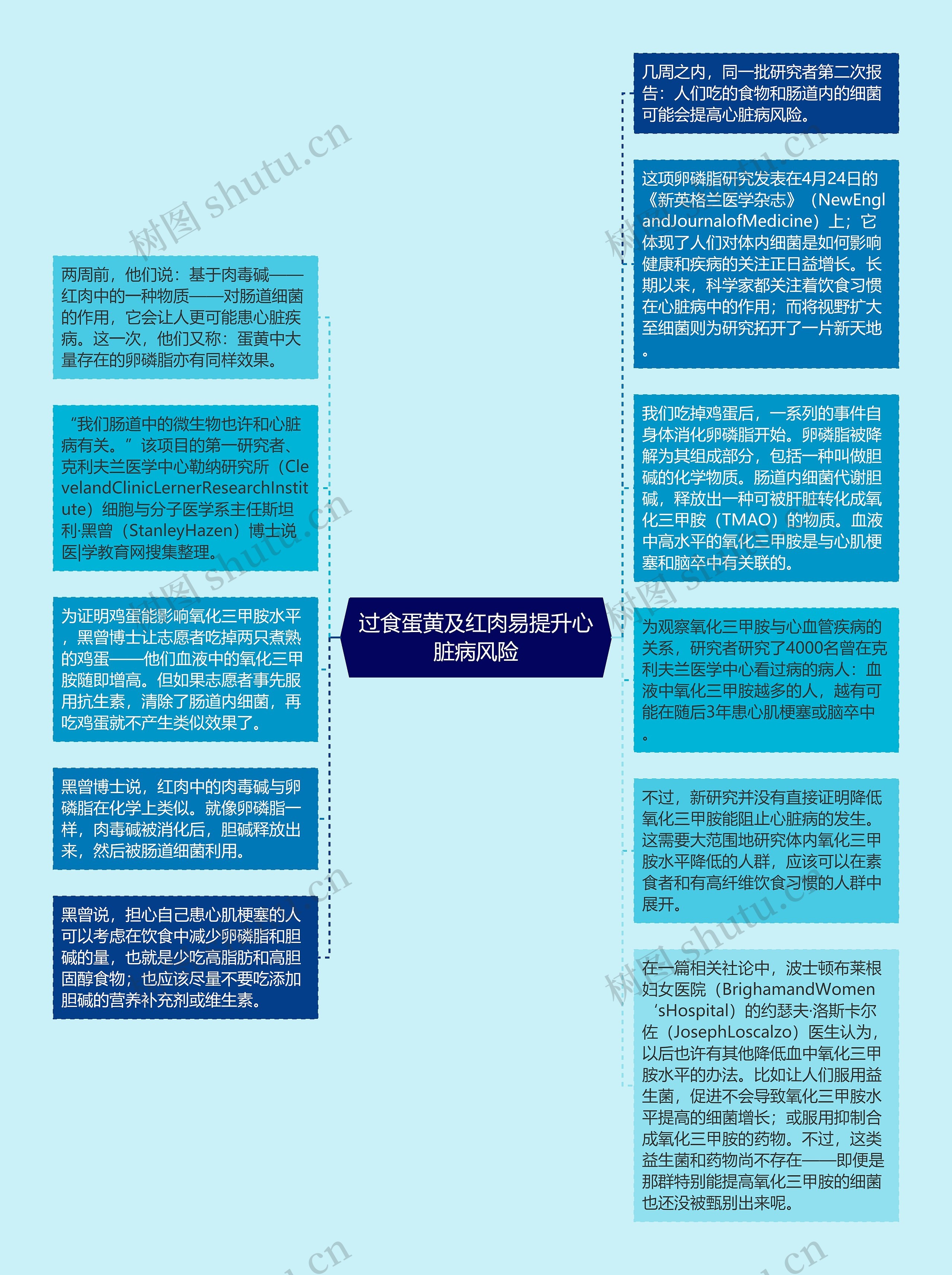 过食蛋黄及红肉易提升心脏病风险