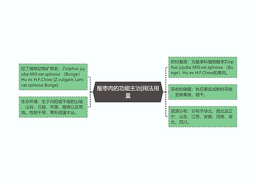 酸枣肉的功能主治|用法用量