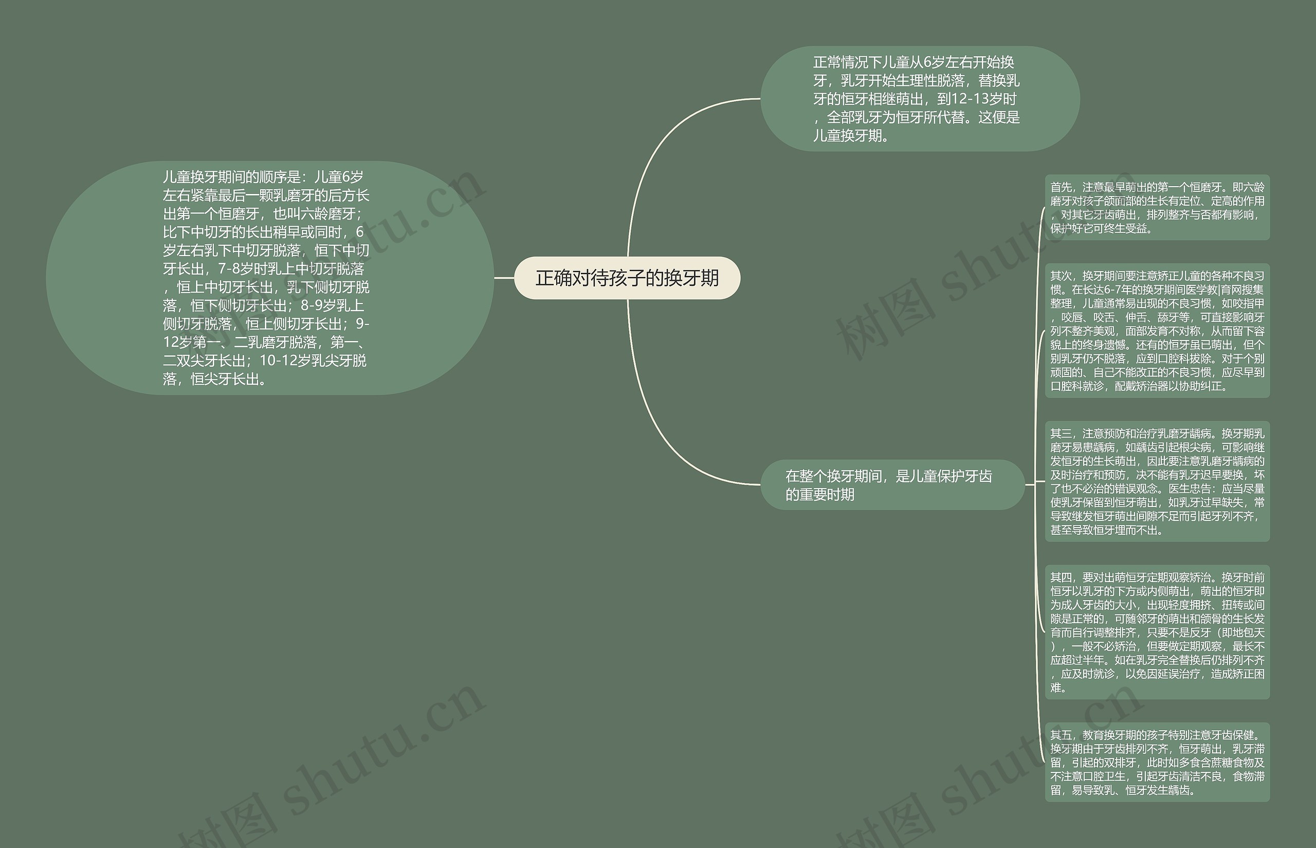 正确对待孩子的换牙期思维导图