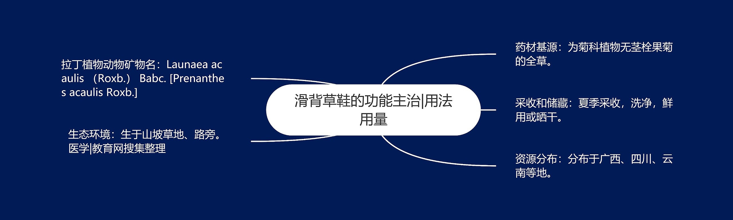 滑背草鞋的功能主治|用法用量 滑背草鞋的功能主治|用法用量