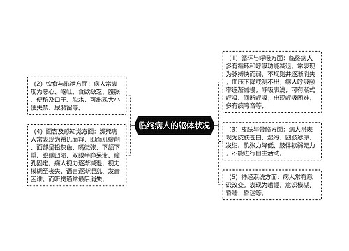 临终病人的躯体状况