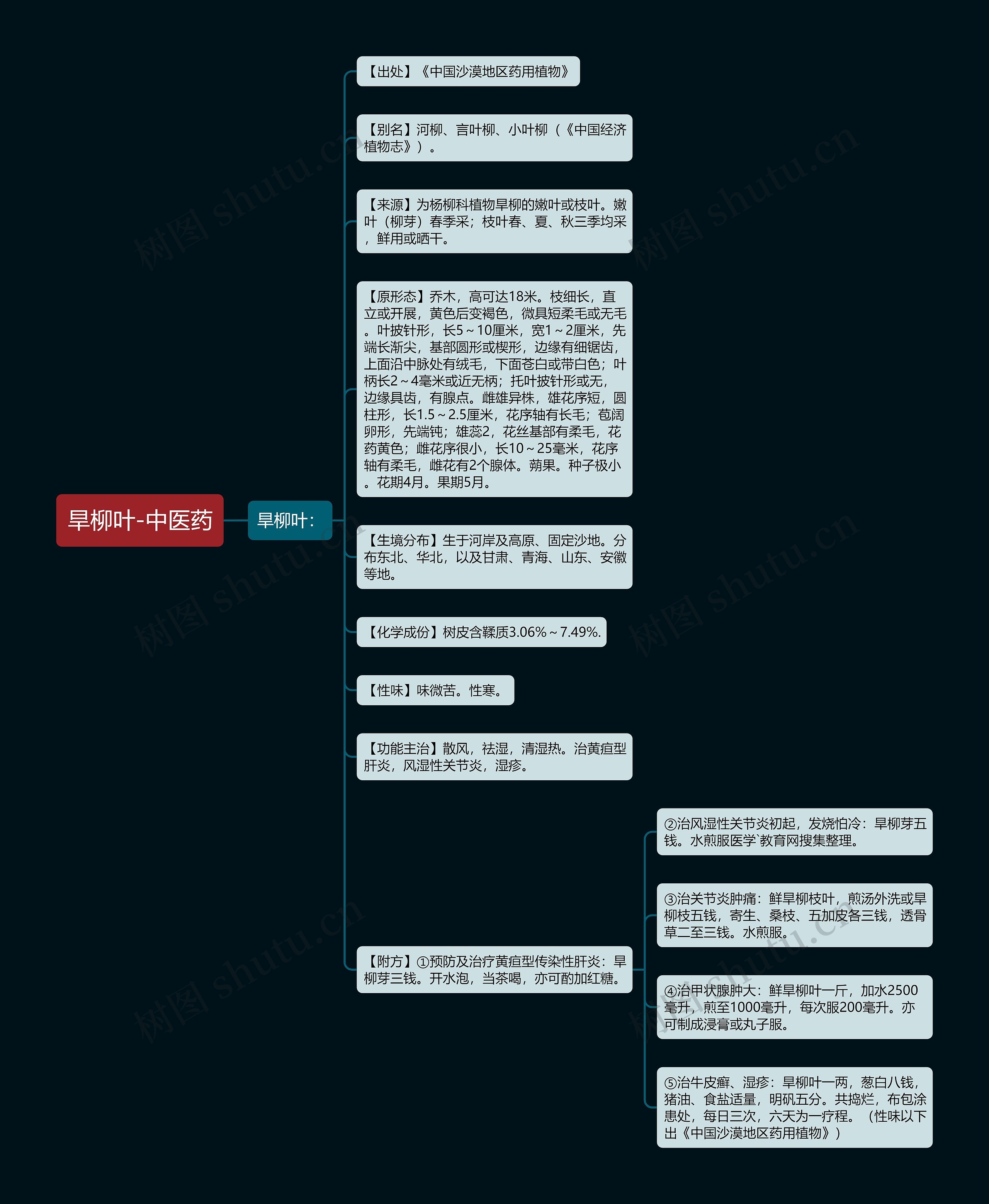 旱柳叶-中医药思维导图