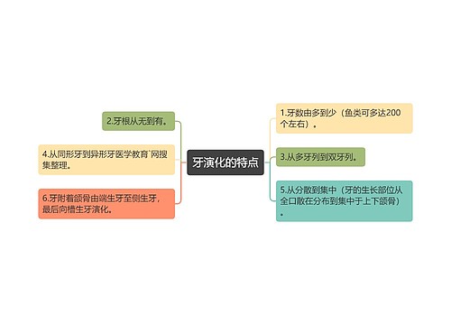 牙演化的特点