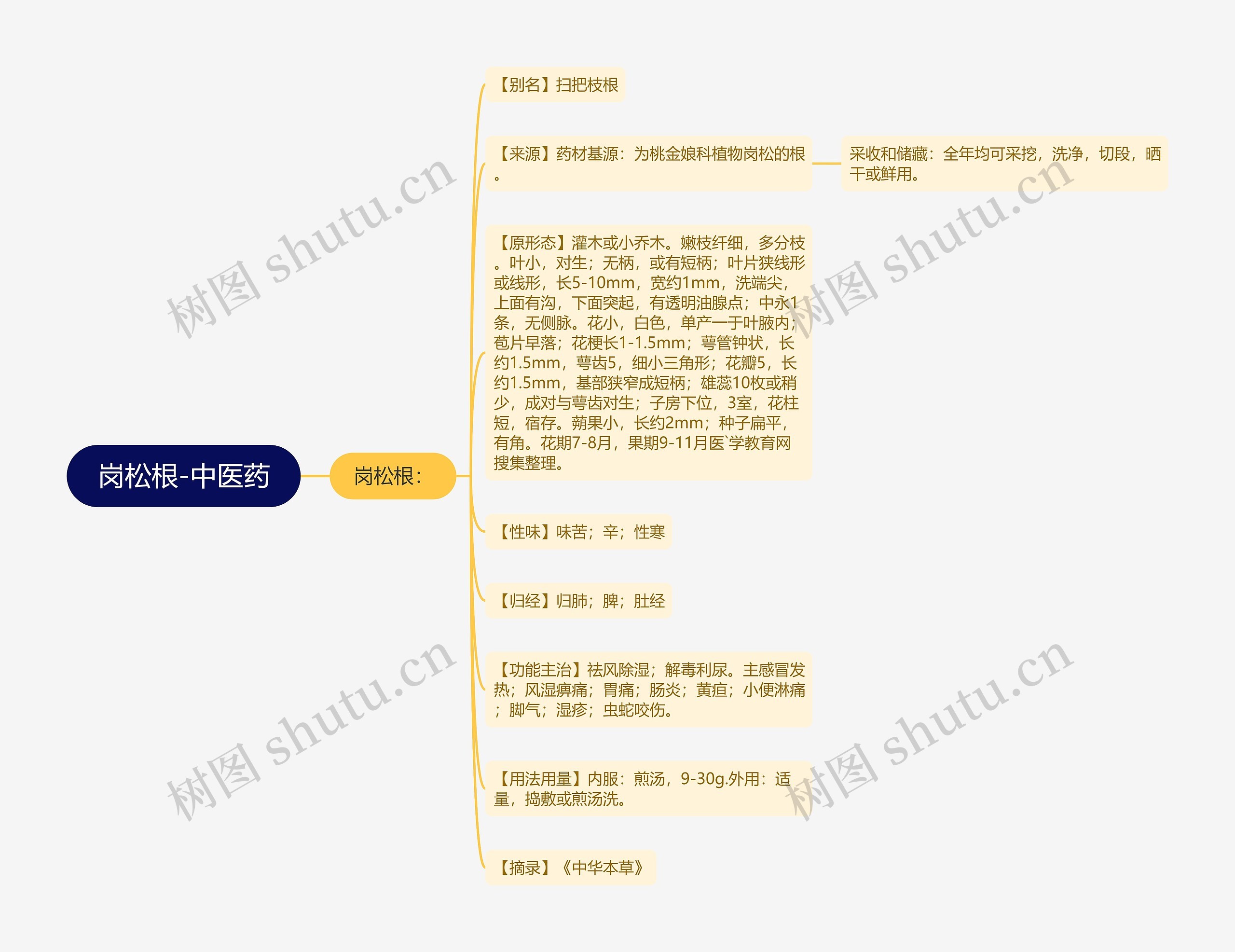 岗松根-中医药 岗松根-中医药
