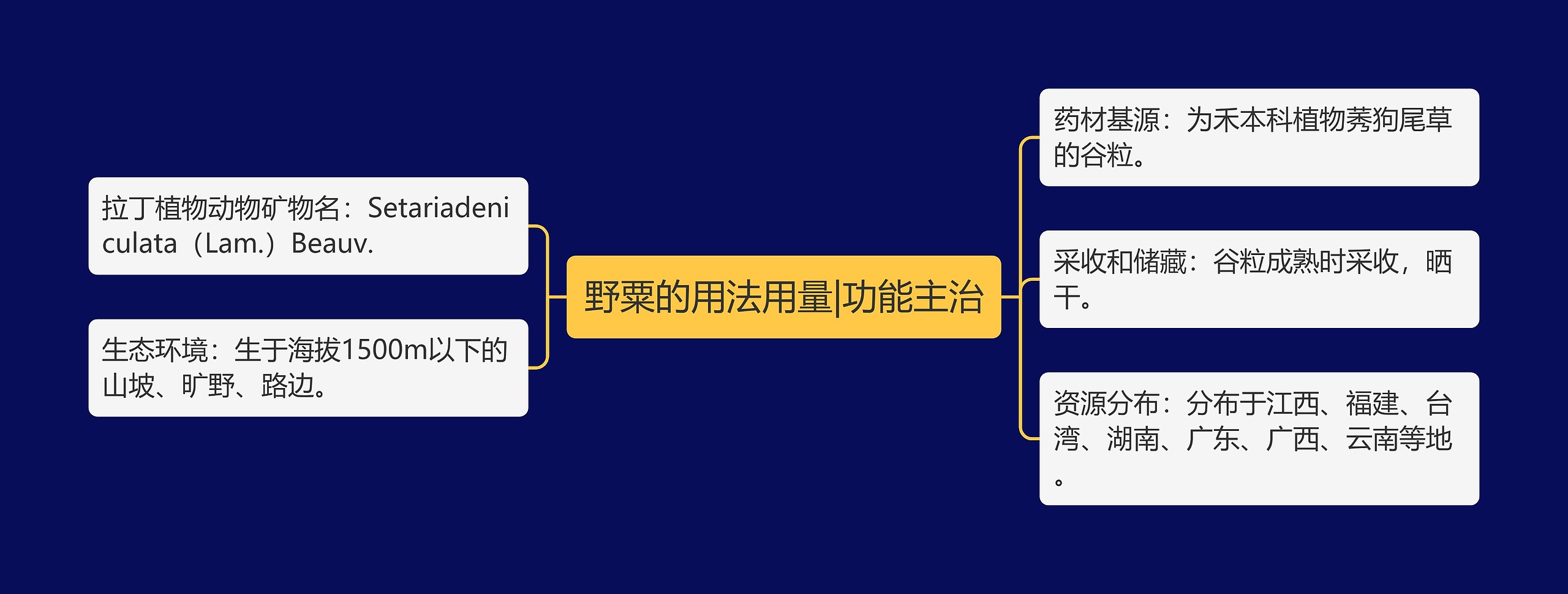 野粟的用法用量|功能主治