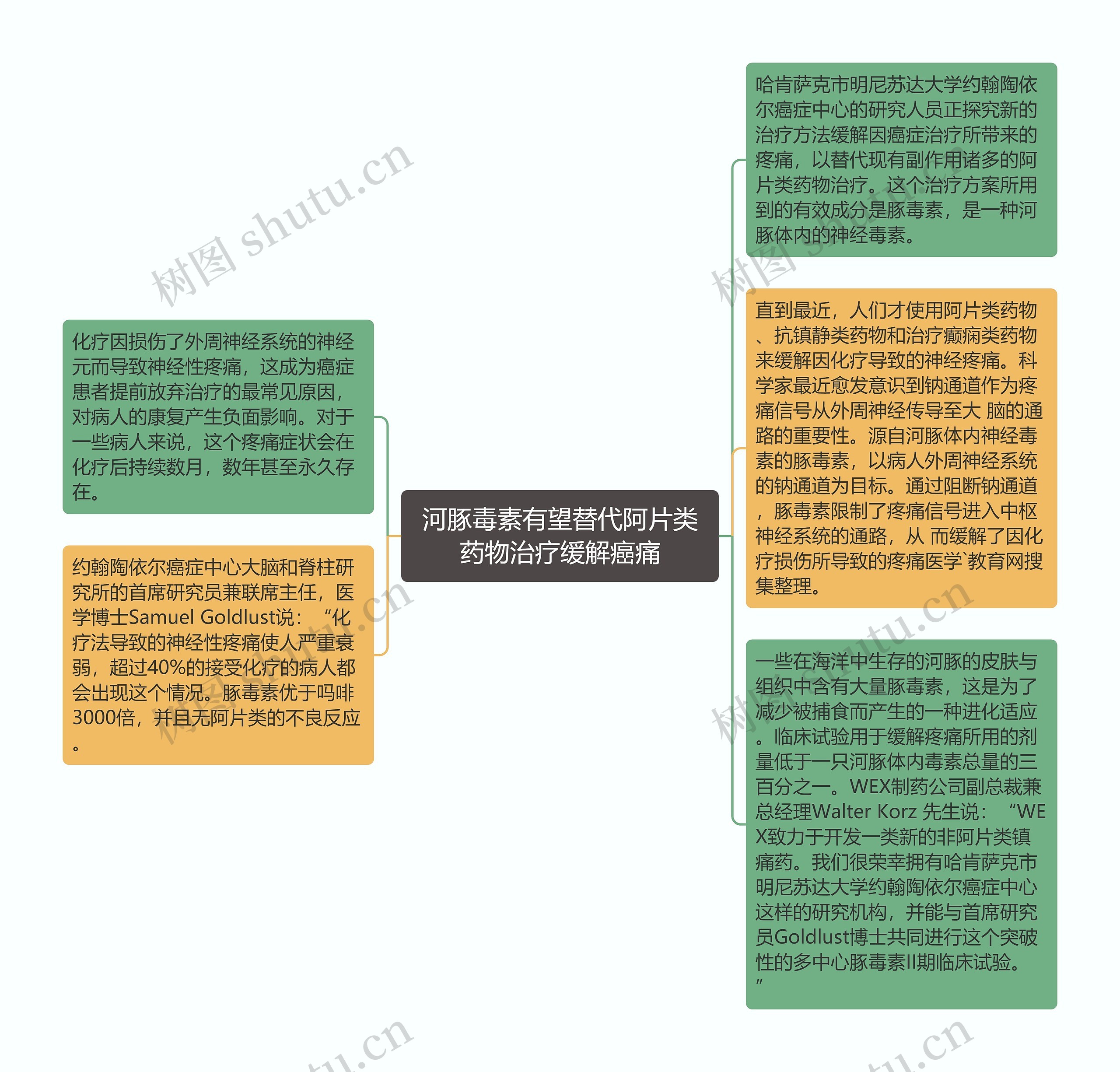 河豚毒素有望替代阿片类药物治疗缓解癌痛思维导图