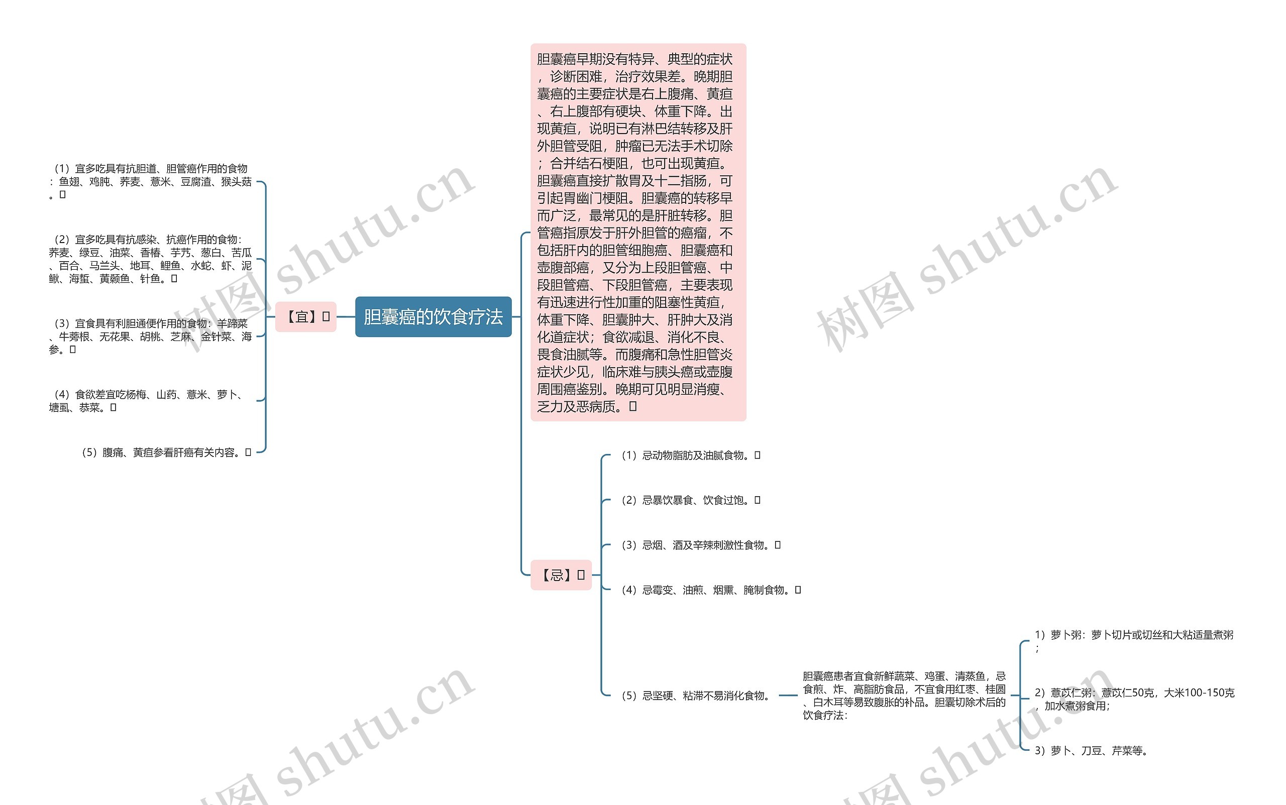 胆囊癌的饮食疗法思维导图
