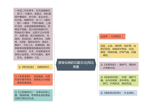 接骨仙桃的功能主治|用法用量