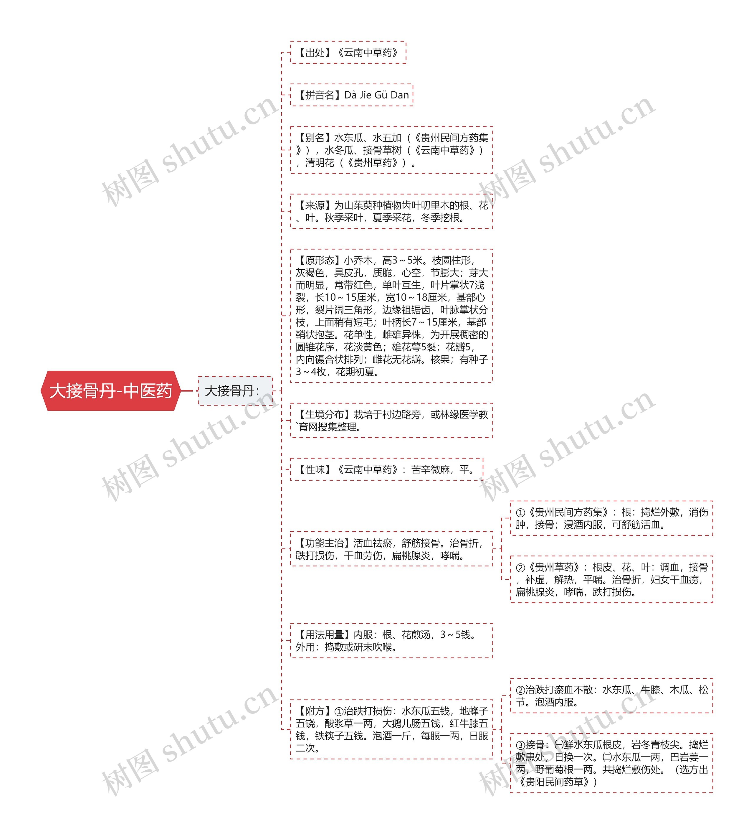 大接骨丹-中医药思维导图