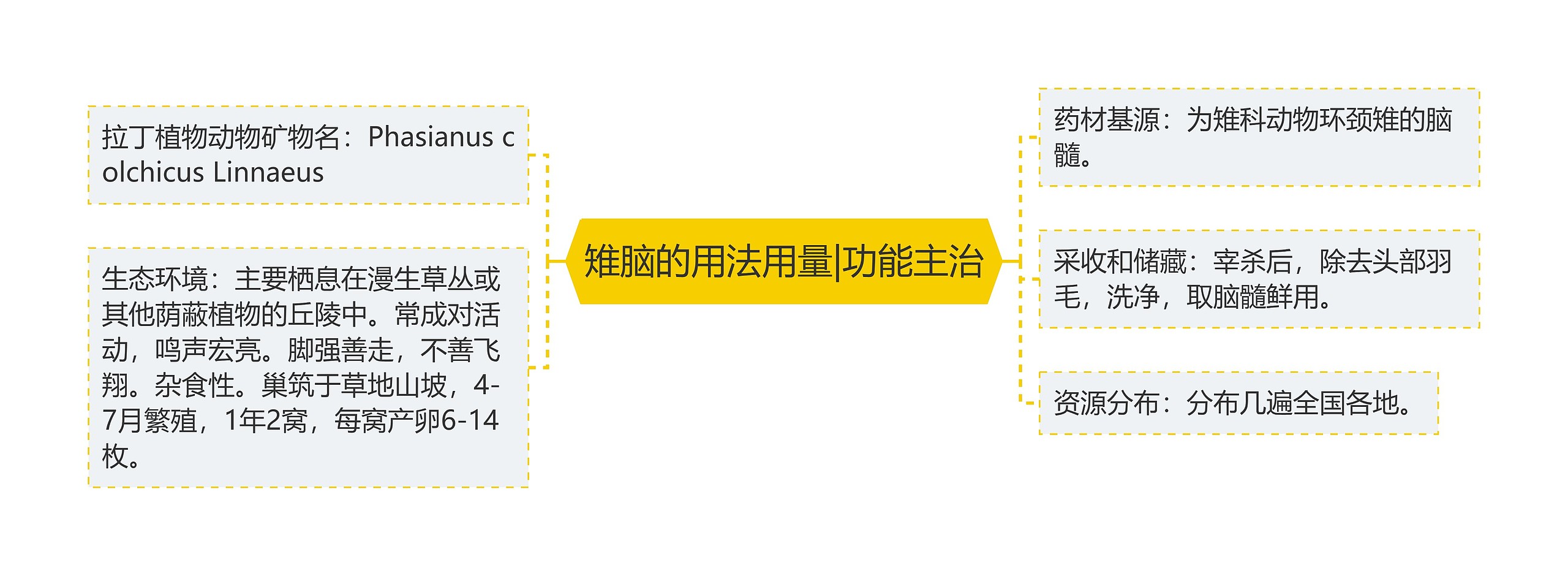 雉脑的用法用量|功能主治思维导图