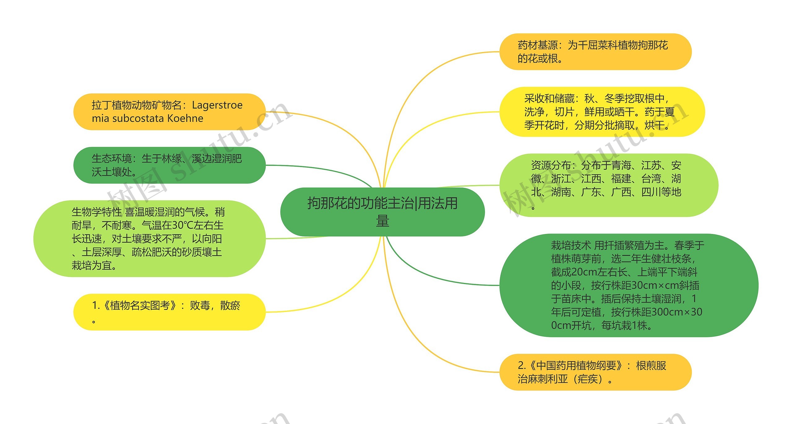 拘那花的功能主治|用法用量思维导图