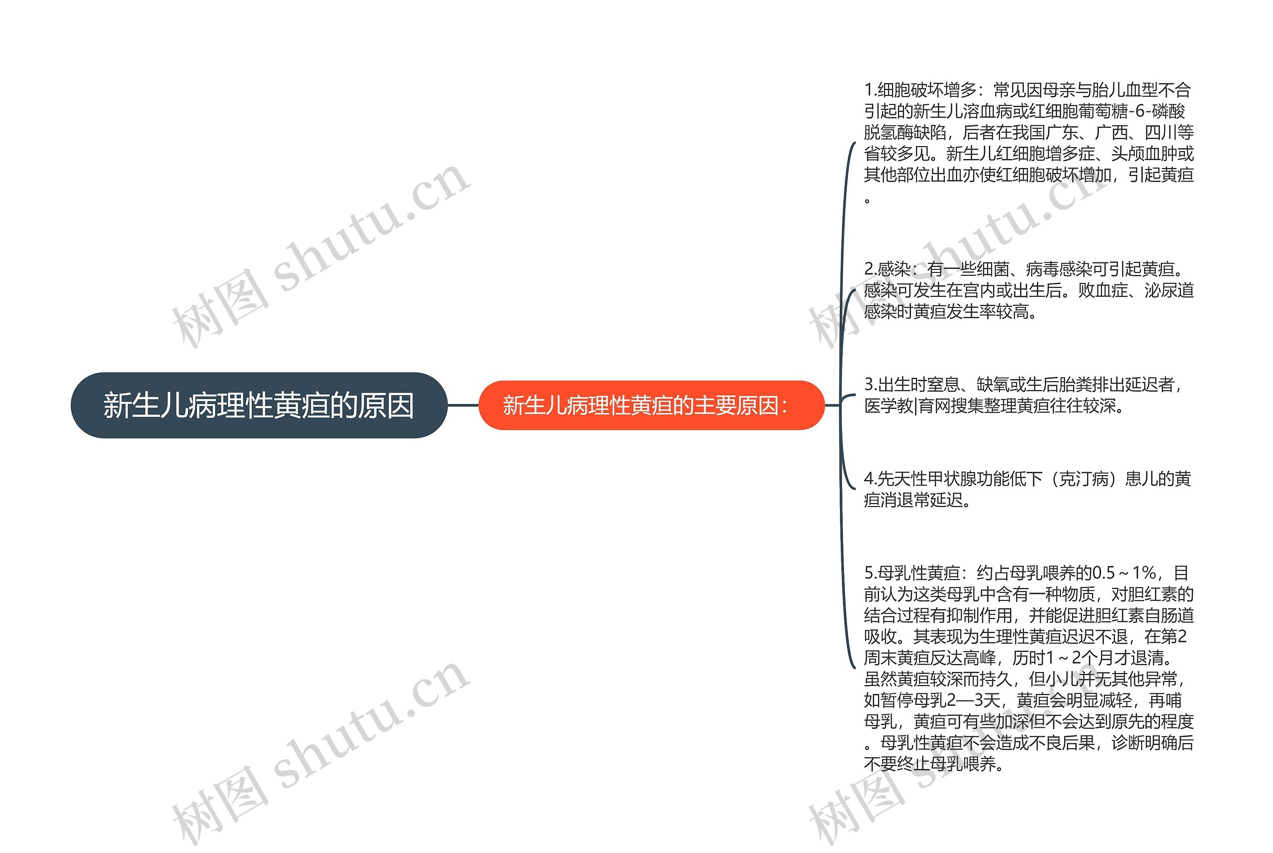 新生儿病理性黄疸的原因思维导图