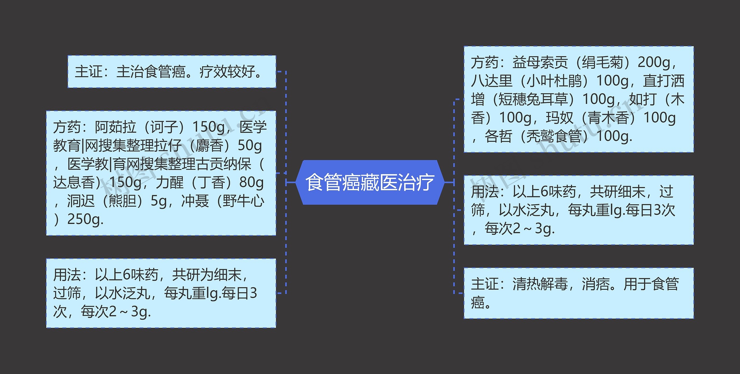 食管癌藏医治疗思维导图