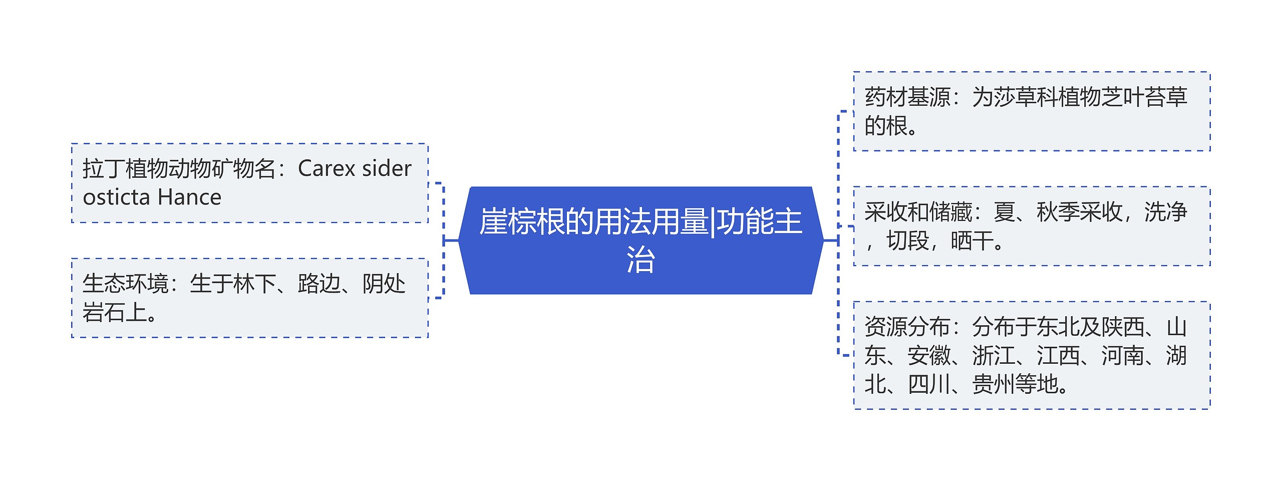 崖棕根的用法用量|功能主治思维导图