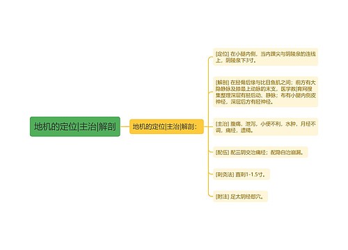 地机的定位|主治|解剖