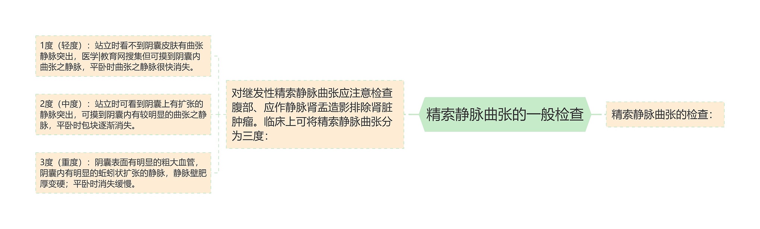 精索静脉曲张的一般检查 精索静脉曲张的一般检查