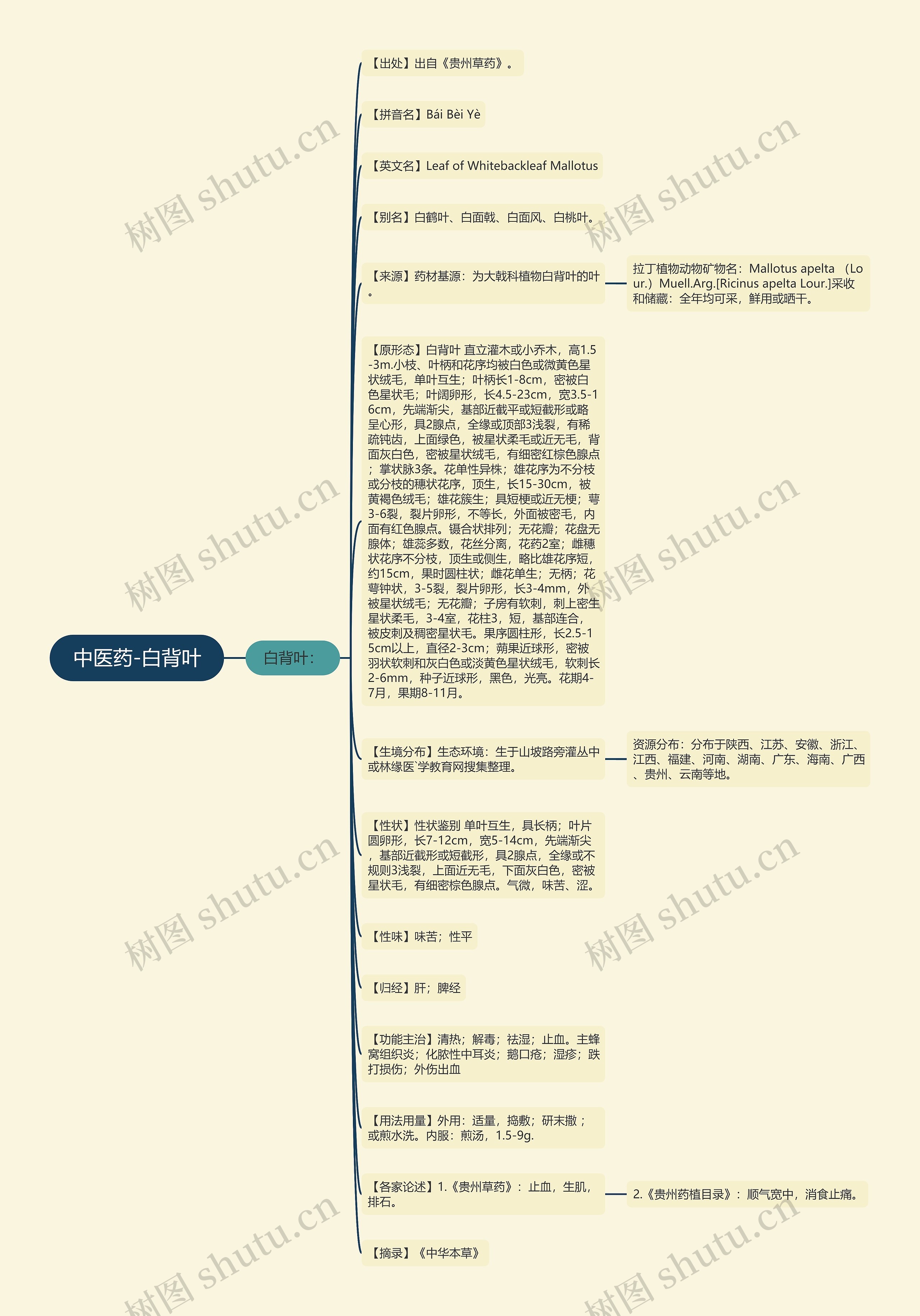 中医药-白背叶思维导图