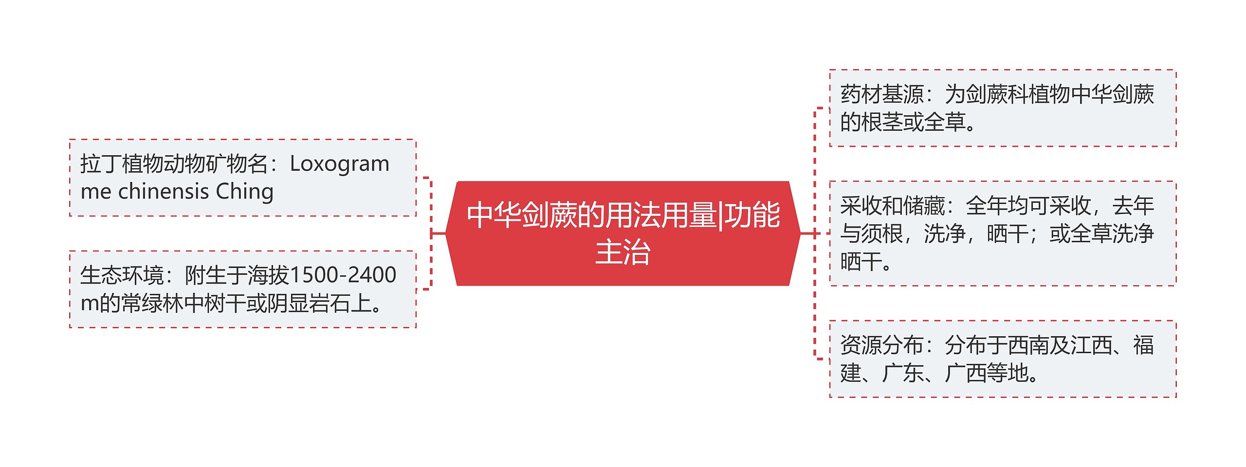 中华剑蕨的用法用量|功能主治