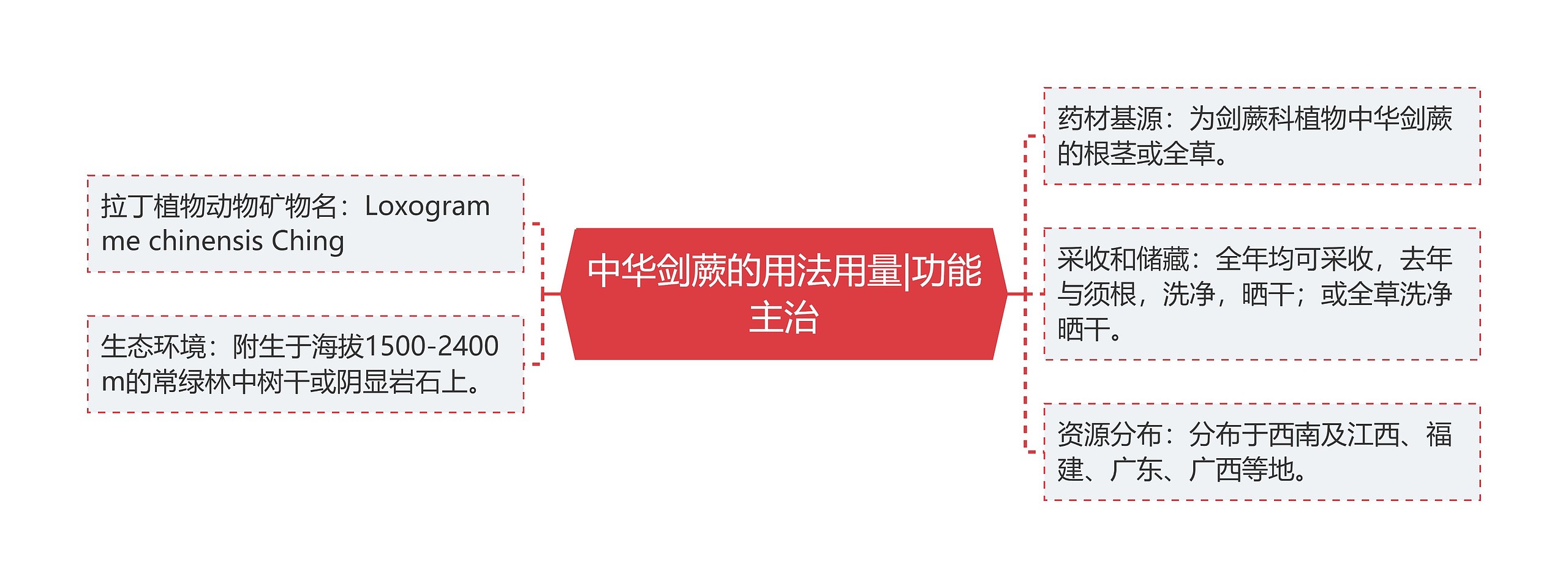 中华剑蕨的用法用量|功能主治思维导图