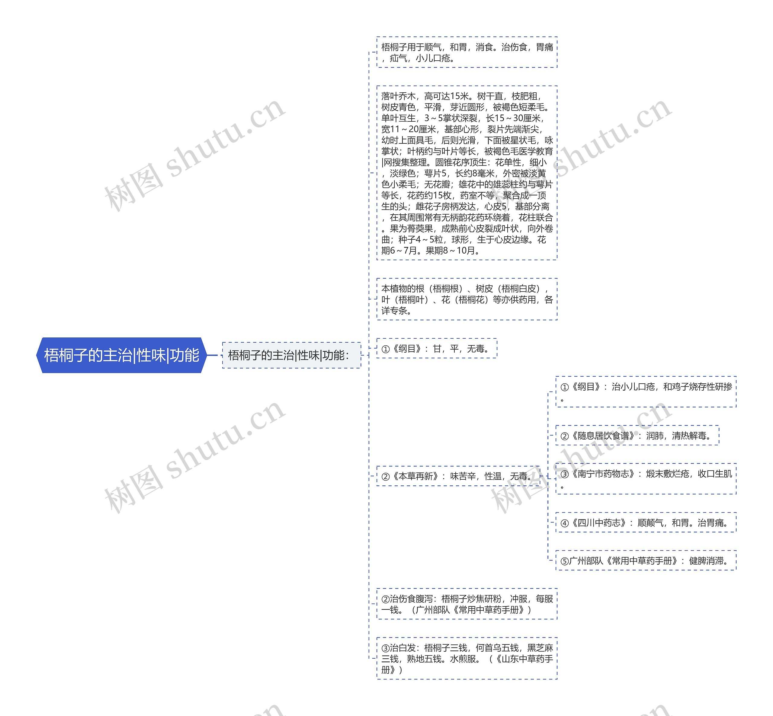 梧桐子的主治|性味|功能思维导图