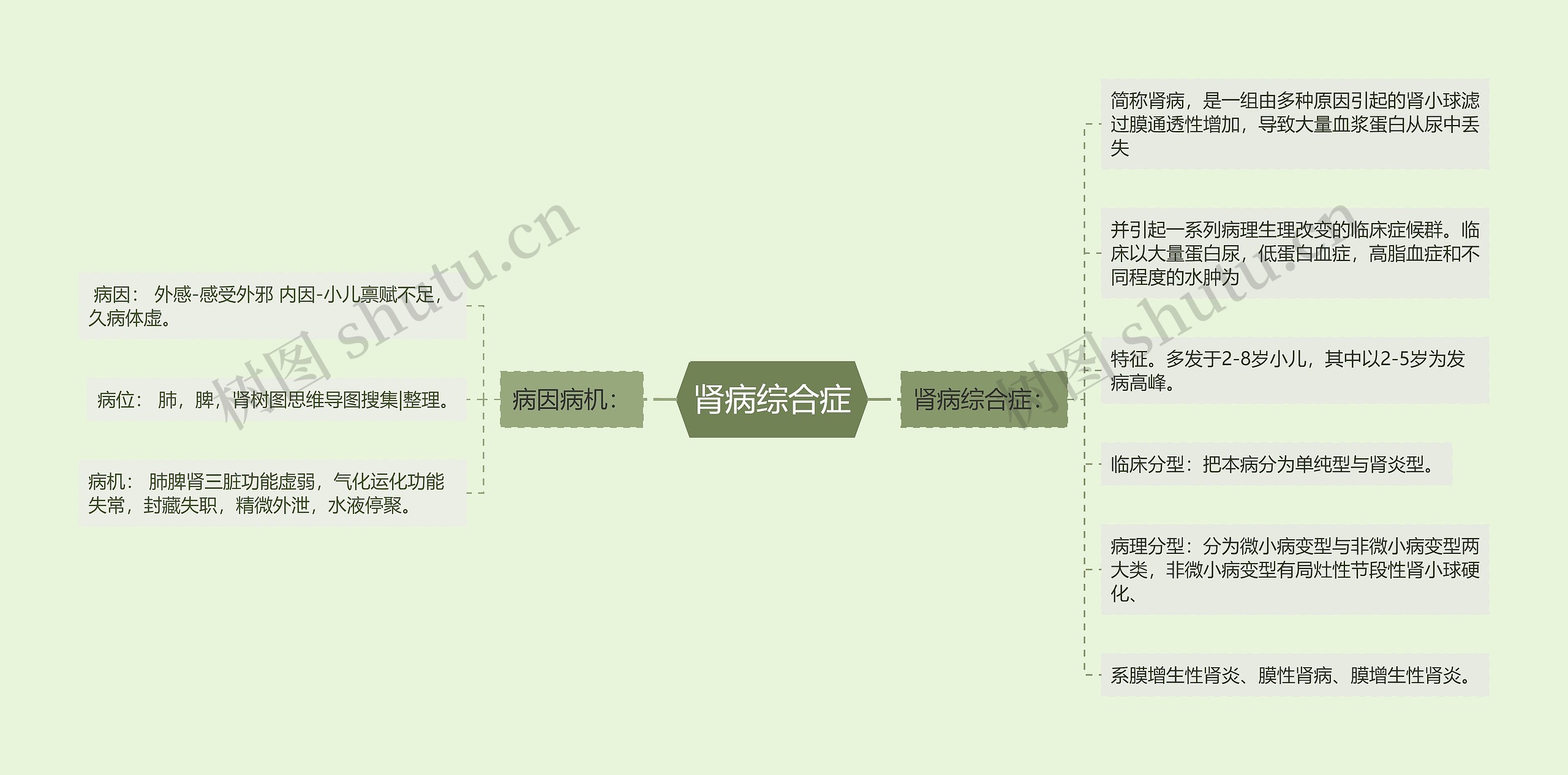 肾病综合症思维导图