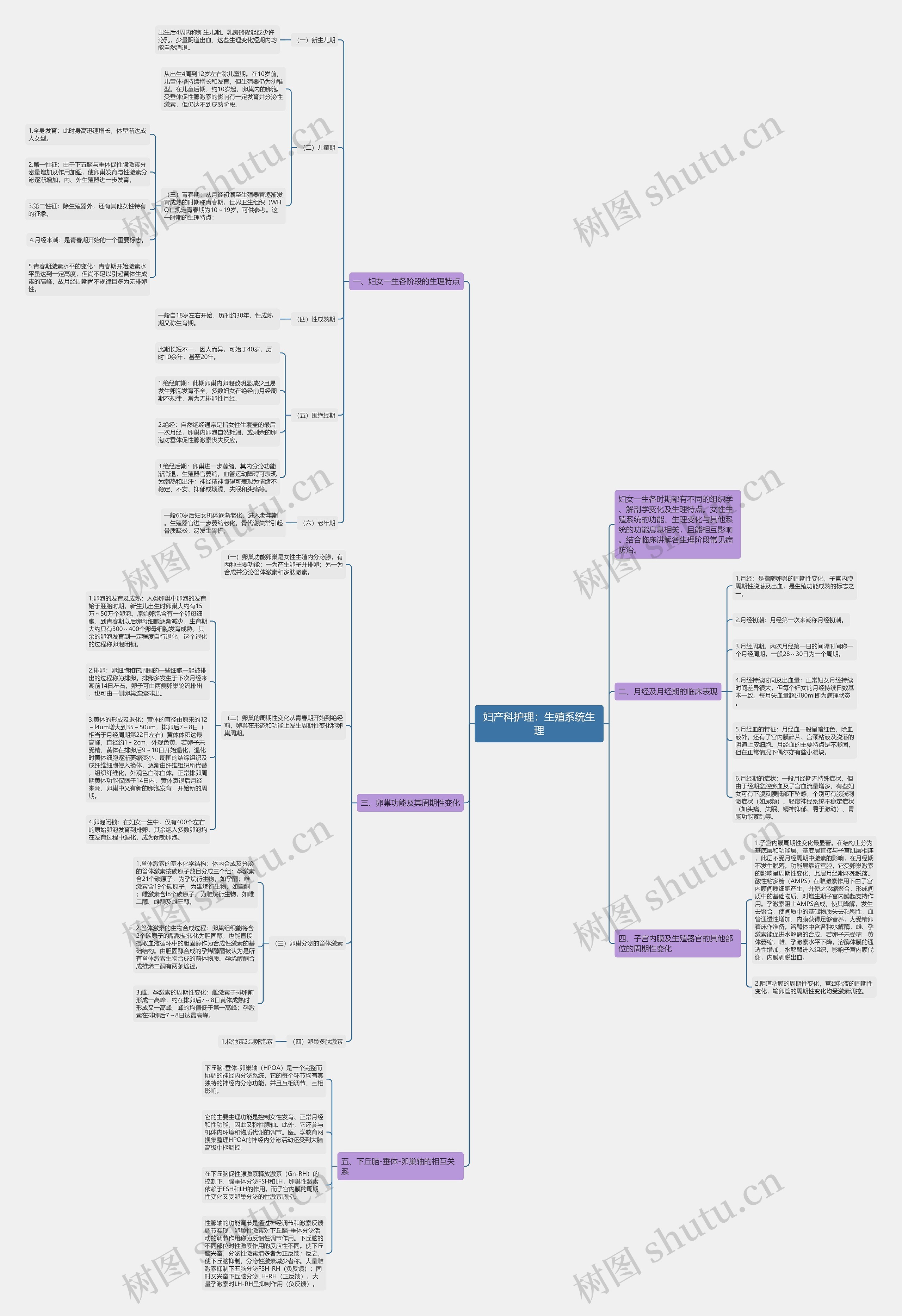妇产科护理：生殖系统生理思维导图