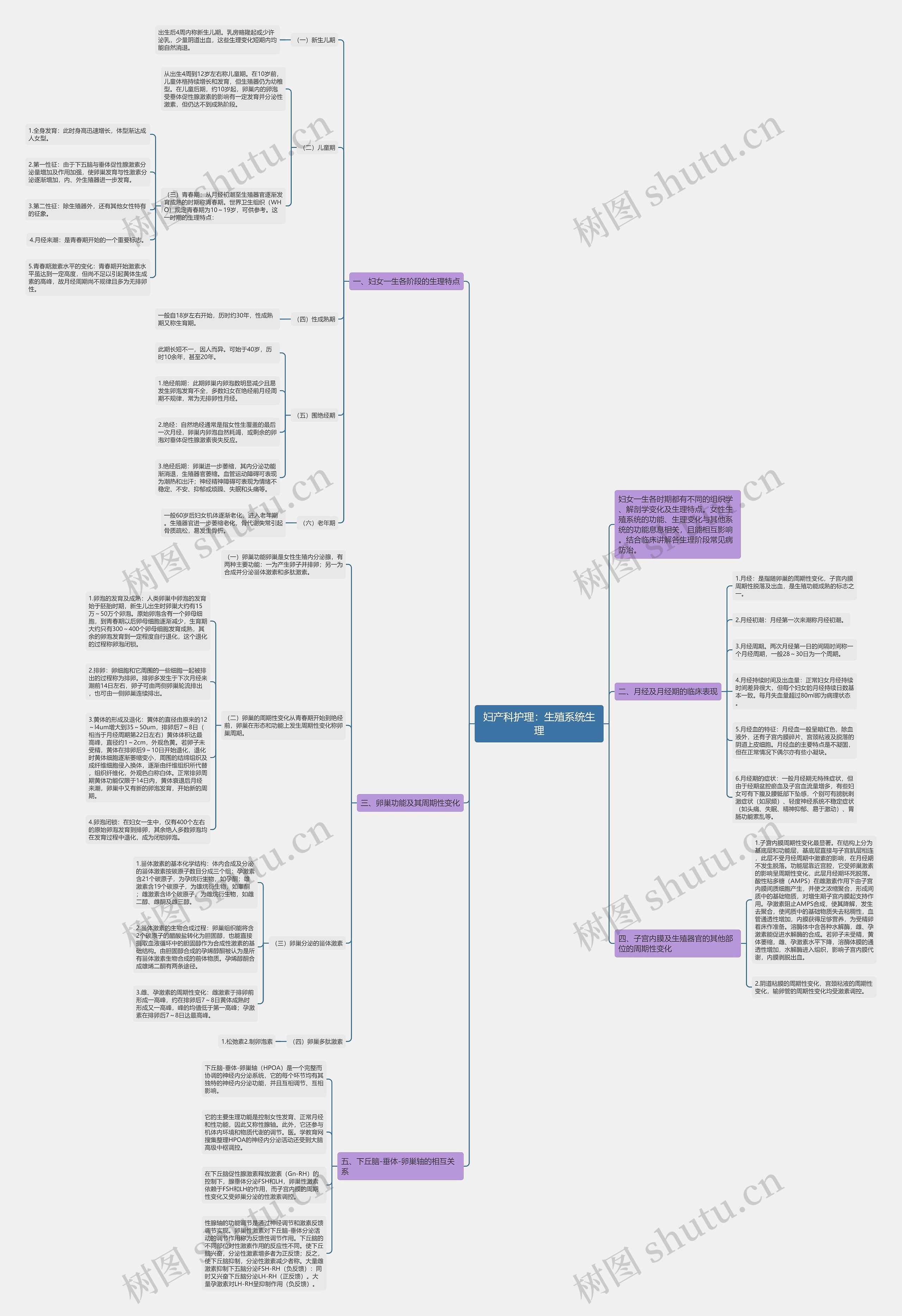 妇产科护理:生殖系统生理 妇产科护理:生殖系统生理