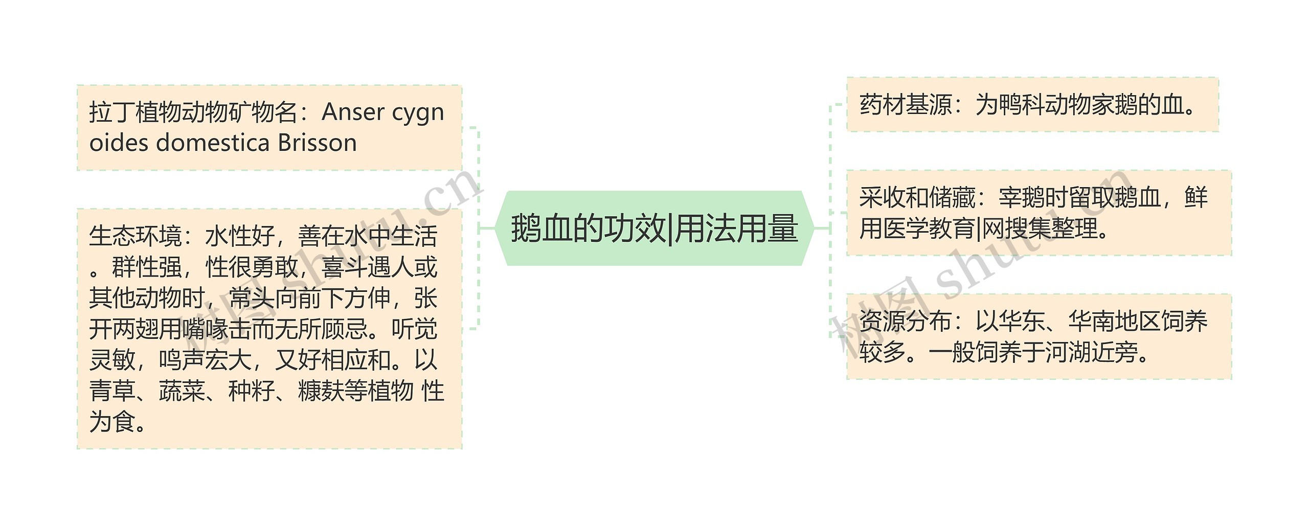 鹅血的功效|用法用量