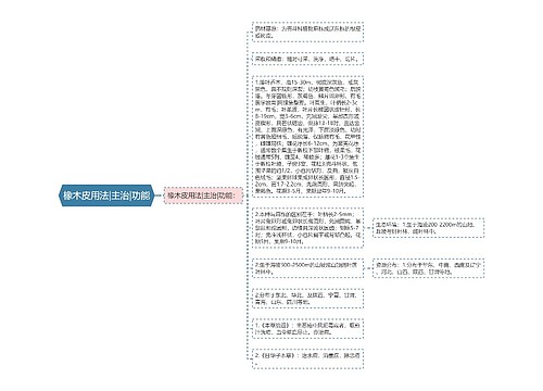 橡木皮用法|主治|功能